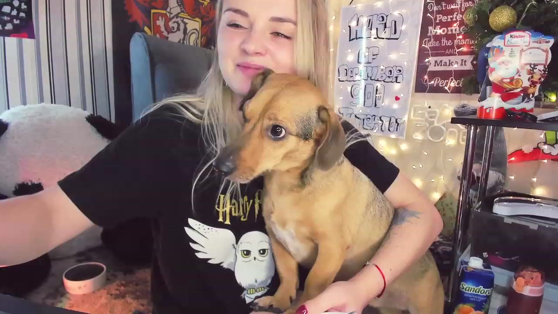 Gallery image thumbnail from NaughtyKitten's myfreecams stream on, 12/27/2023, 19:47 image 3 of 20