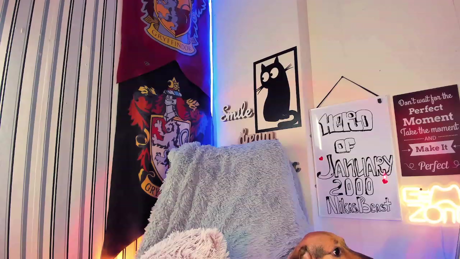 Gallery image thumbnail from NaughtyKitten's myfreecams stream on, 01/23/2024, 17:59 image 13 of 20