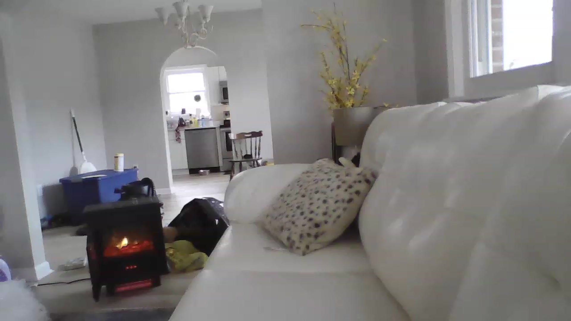 Gallery image thumbnail from Naughtycindy1's myfreecams stream on, 02/02/2023, 17:59 image 3 of 20