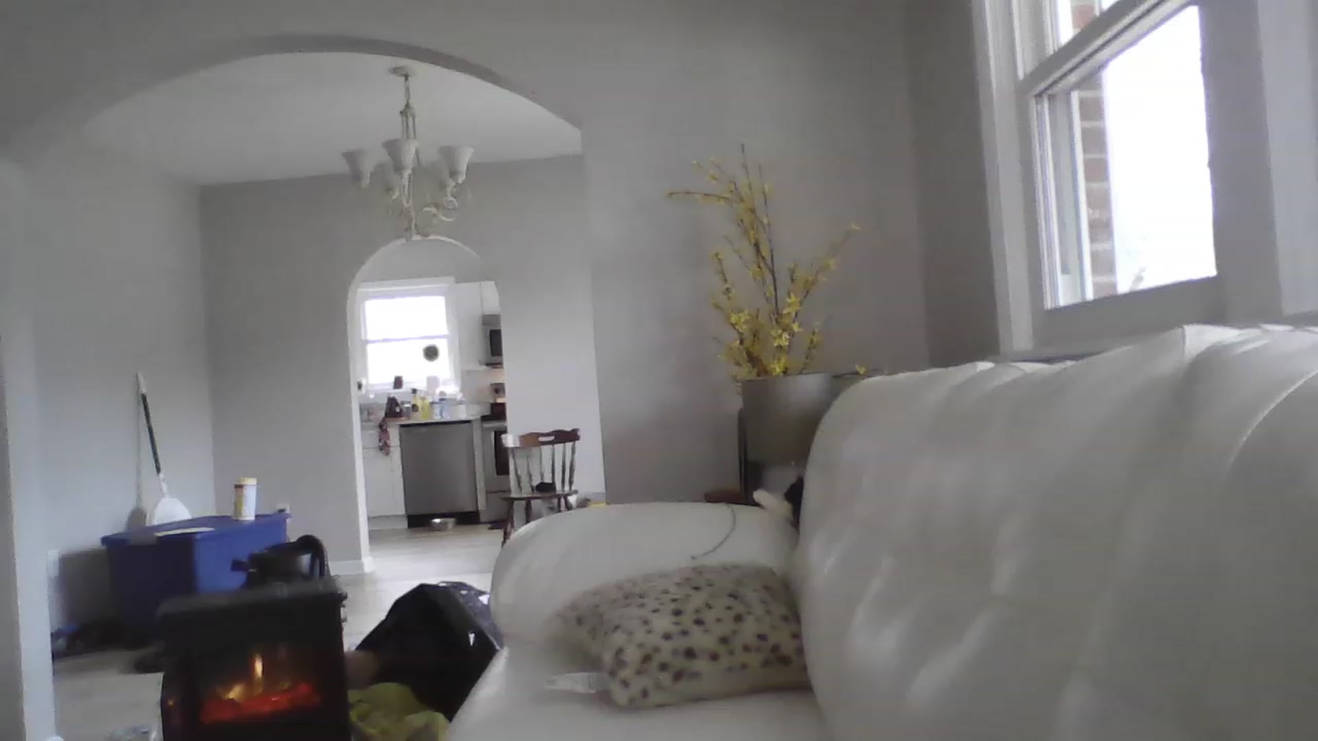 Gallery image thumbnail from Naughtycindy1's myfreecams stream on, 02/02/2023, 17:59 image 10 of 20