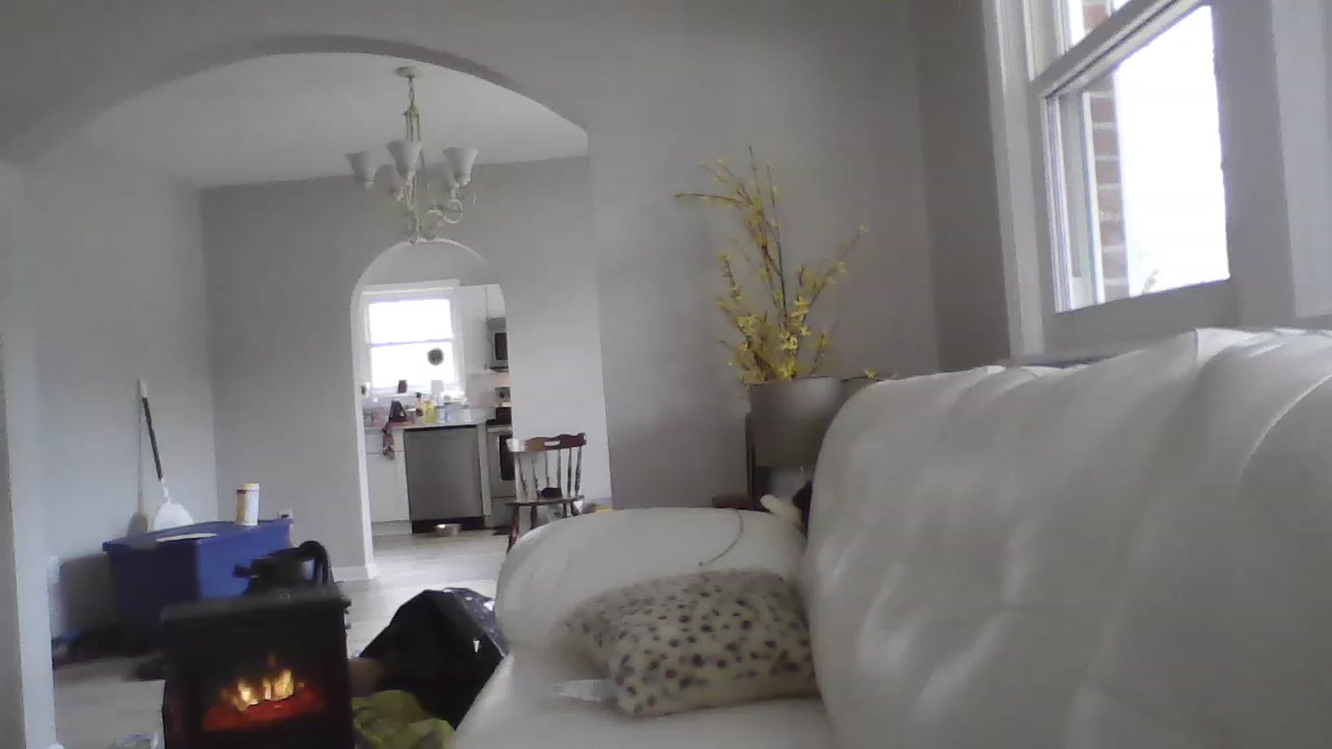 Gallery image thumbnail from Naughtycindy1's myfreecams stream on, 02/02/2023, 17:59 image 9 of 20