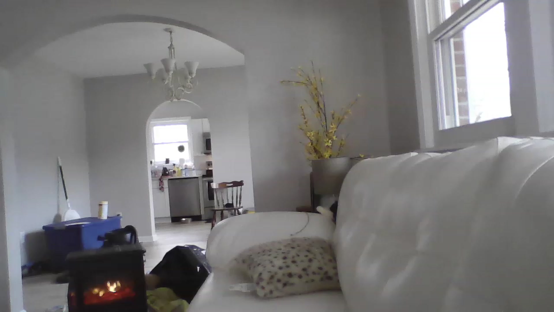 Gallery image thumbnail from Naughtycindy1's myfreecams stream on, 02/02/2023, 17:59 image 12 of 20
