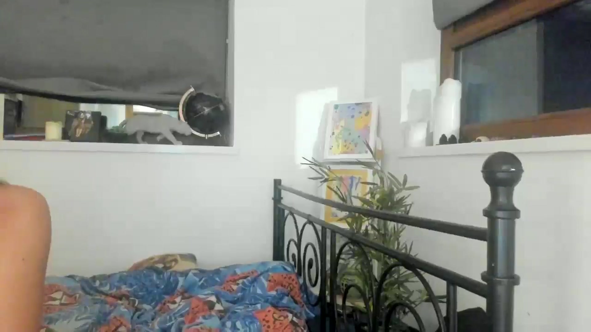 Gallery image thumbnail from Naughtygal22's myfreecams stream on, 12/04/2024, 21:15 image 14 of 20