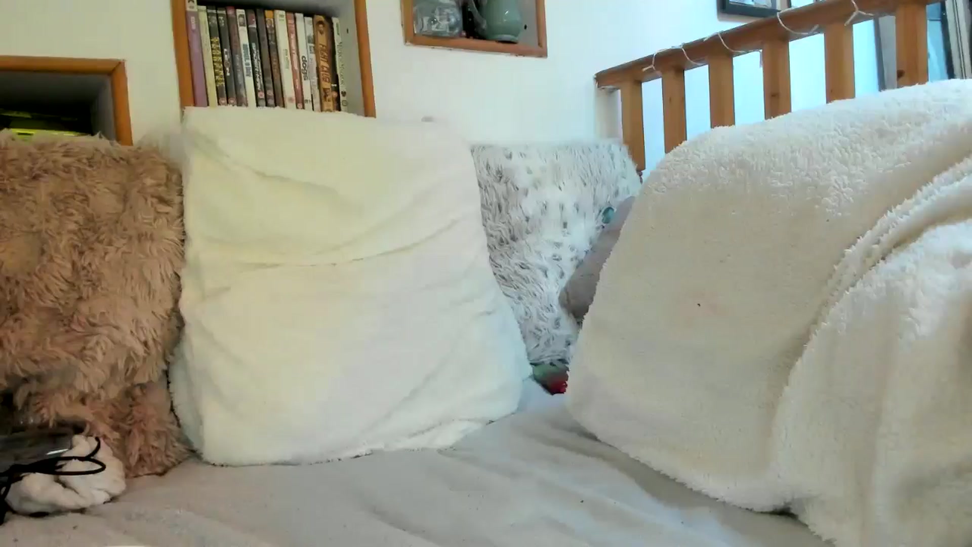 Gallery image thumbnail from Naughtygal22's myfreecams stream on, 05/06/2025, 07:33 image 12 of 20