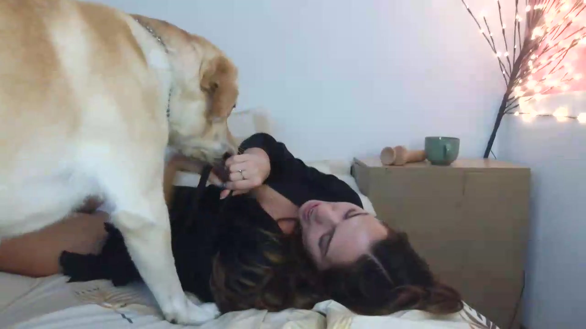 Gallery image thumbnail from NayaFrost's myfreecams stream on, 08/11/2026, 12:02 image 7 of 20