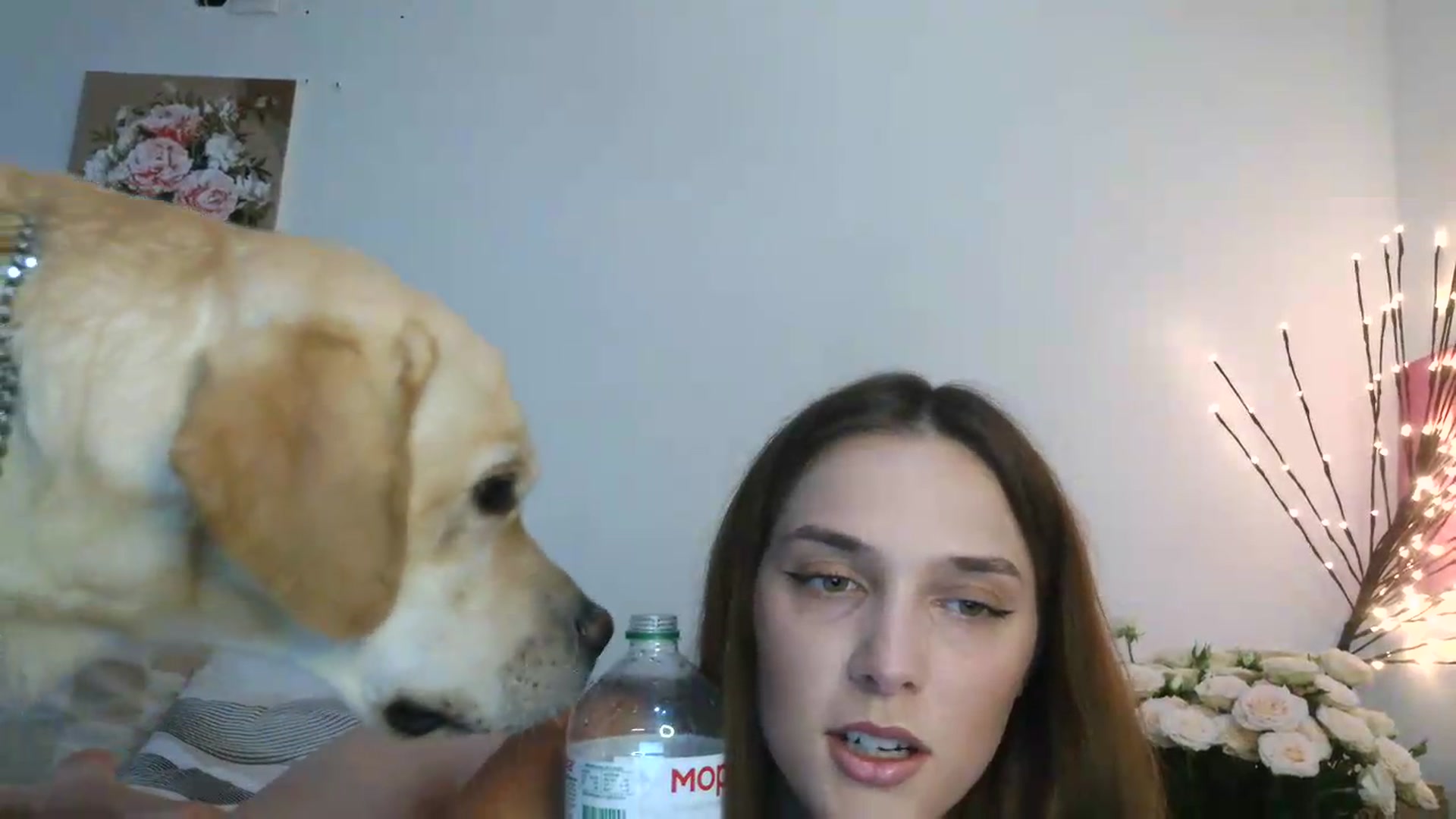 Gallery image thumbnail from NayaFrost's myfreecams stream on, 08/14/2026, 12:06 image 11 of 20