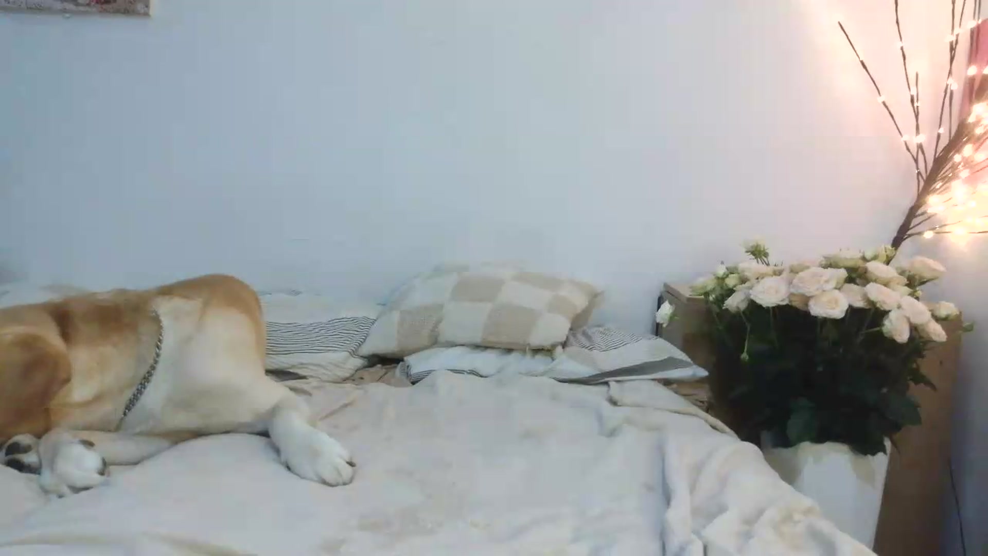Gallery image thumbnail from NayaFrost's myfreecams stream on, 08/16/2026, 17:32 image 15 of 20