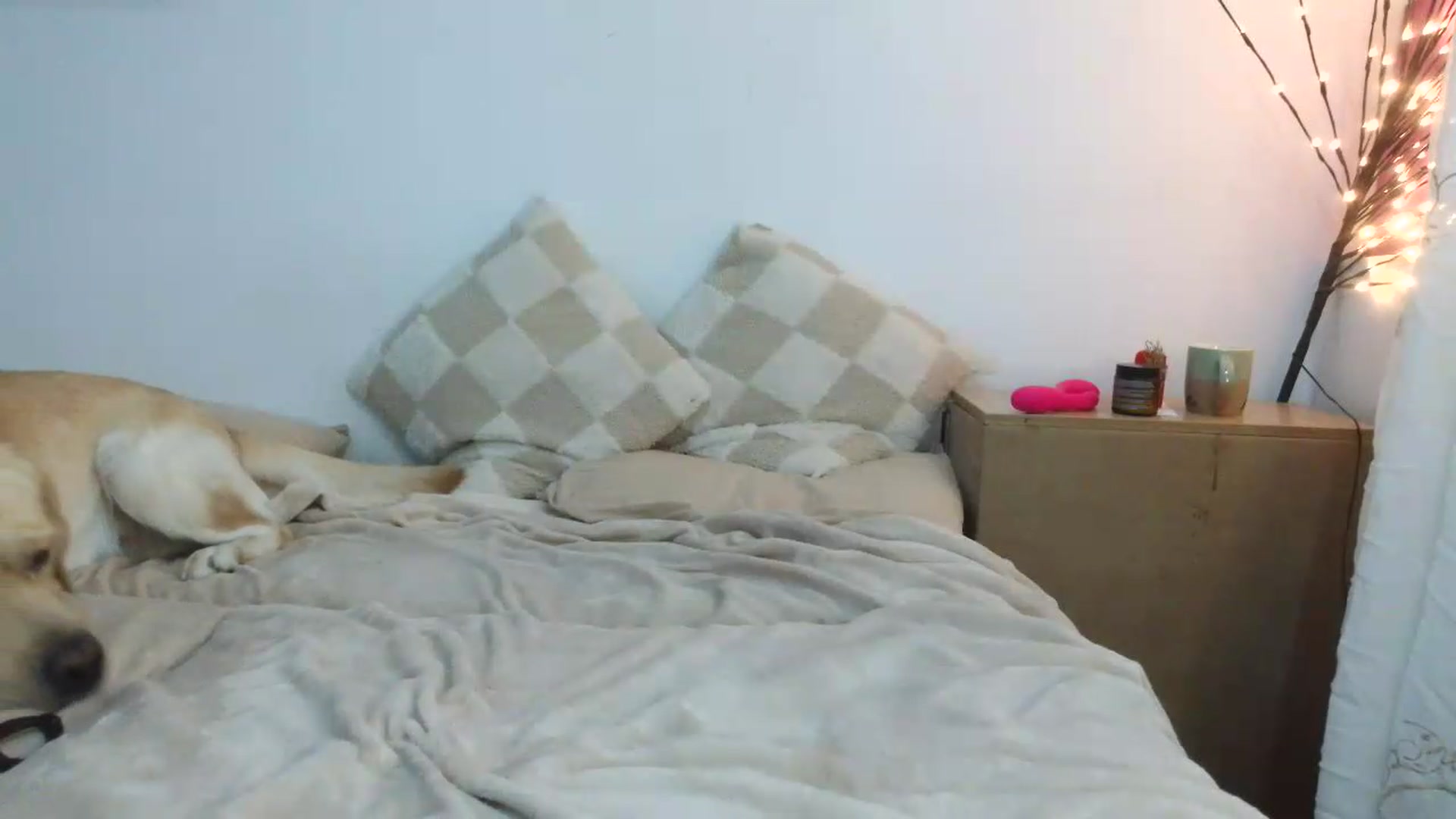 Gallery image thumbnail from NayaFrost's myfreecams stream on, 08/30/2026, 14:36 image 20 of 20