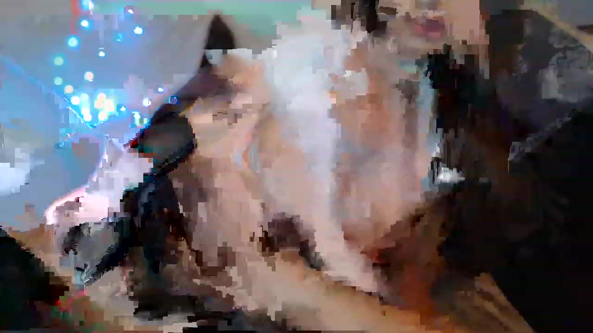 Gallery image thumbnail from Nefertitties's myfreecams stream on, 01/22/2023, 19:36 image 8 of 20