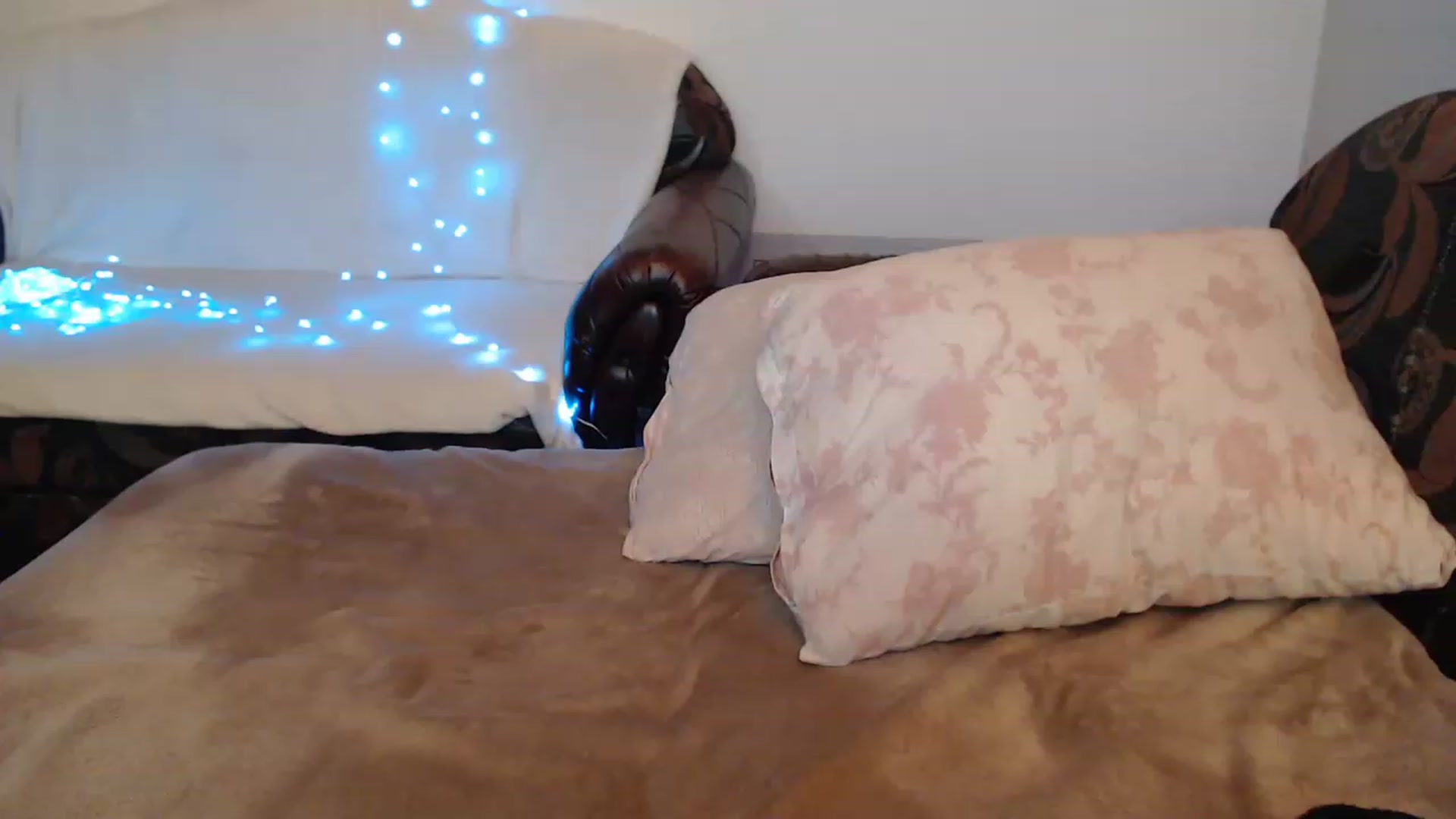 Gallery image thumbnail from Nefertitties's myfreecams stream on, 02/03/2023, 20:00 image 20 of 20