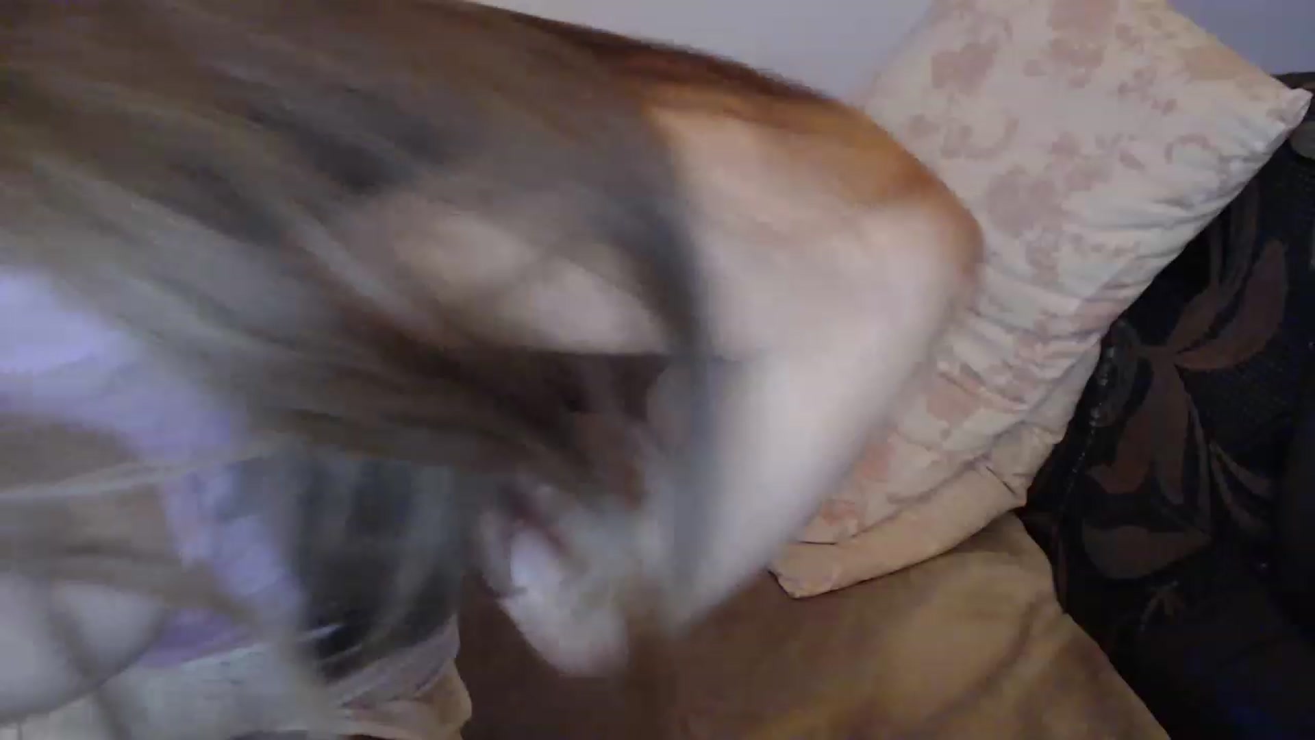 Gallery image thumbnail from Nefertitties's myfreecams stream on, 02/03/2023, 20:00 image 5 of 20