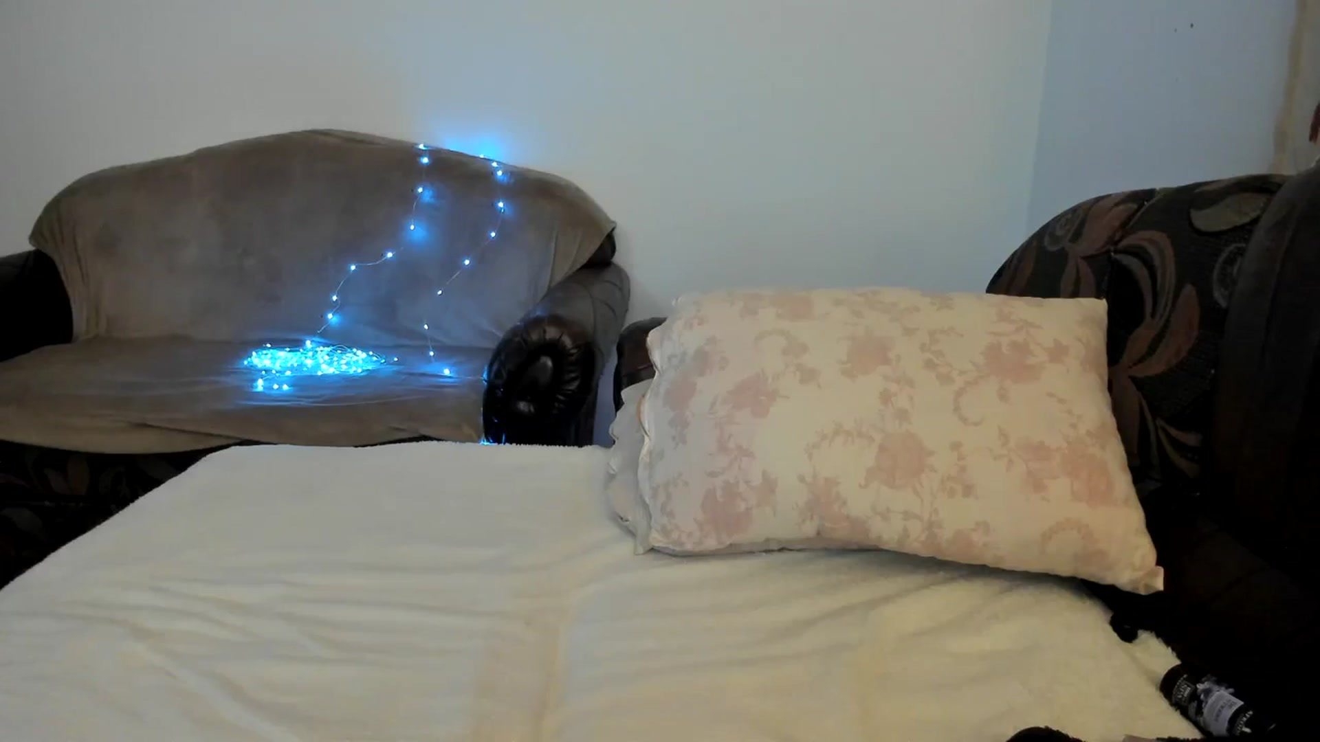 Gallery image thumbnail from Nefertitties's myfreecams stream on, 08/05/2023, 15:02 image 18 of 20