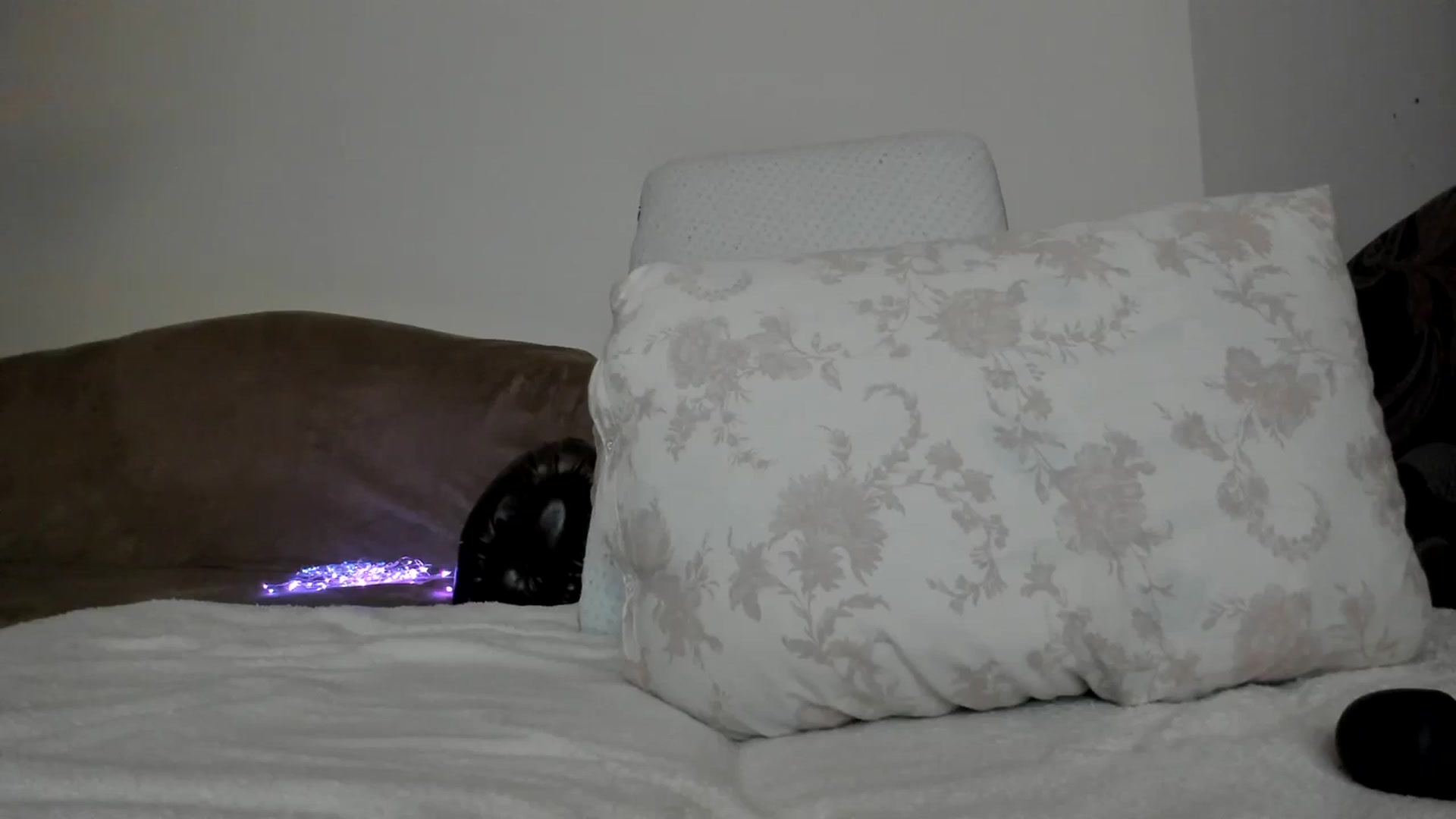 Gallery image thumbnail from Nefertitties's myfreecams stream on, 01/10/2024, 19:34 image 20 of 20