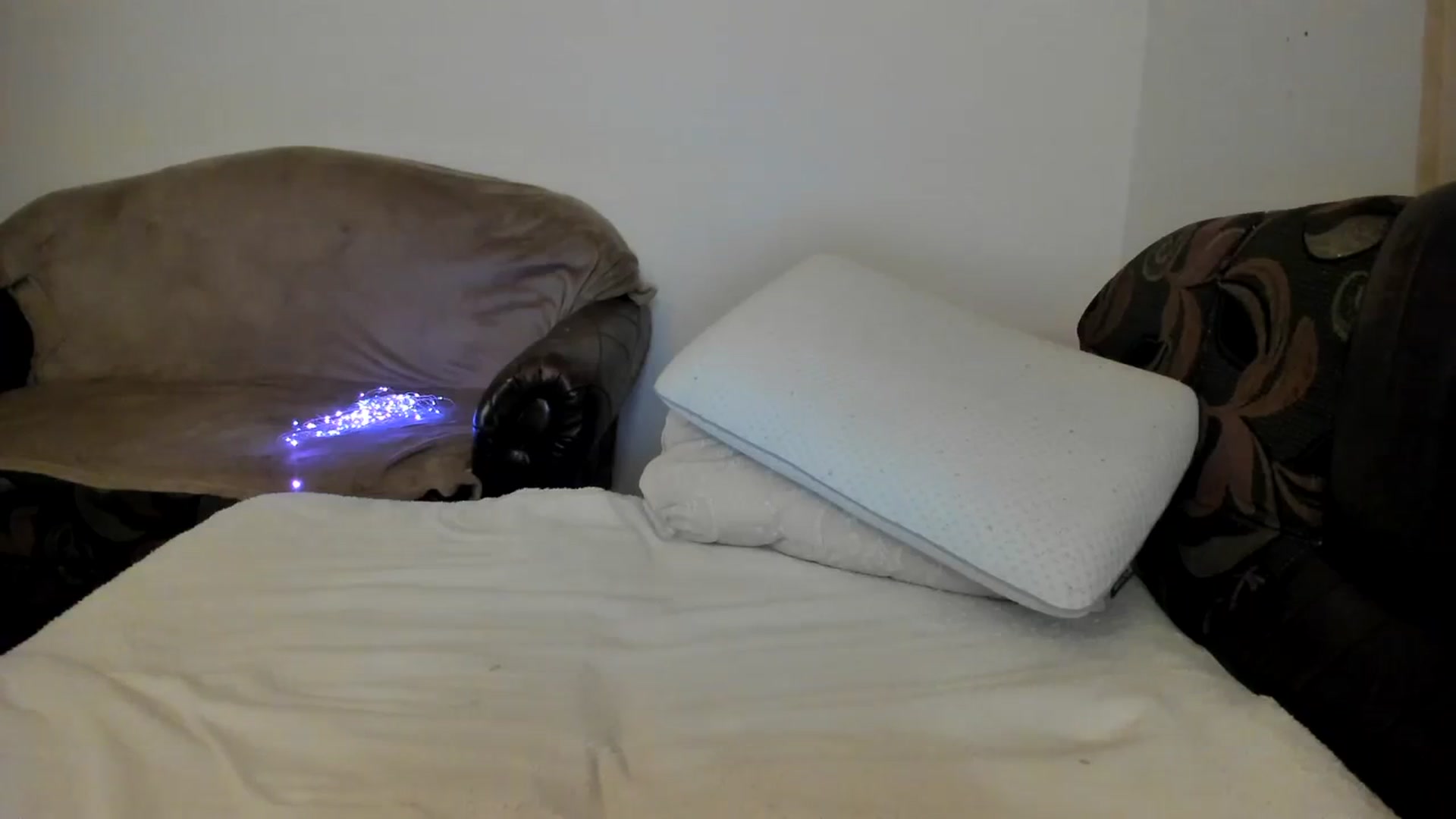 Gallery image thumbnail from Nefertitties's myfreecams stream on, 01/17/2024, 21:32 image 11 of 20