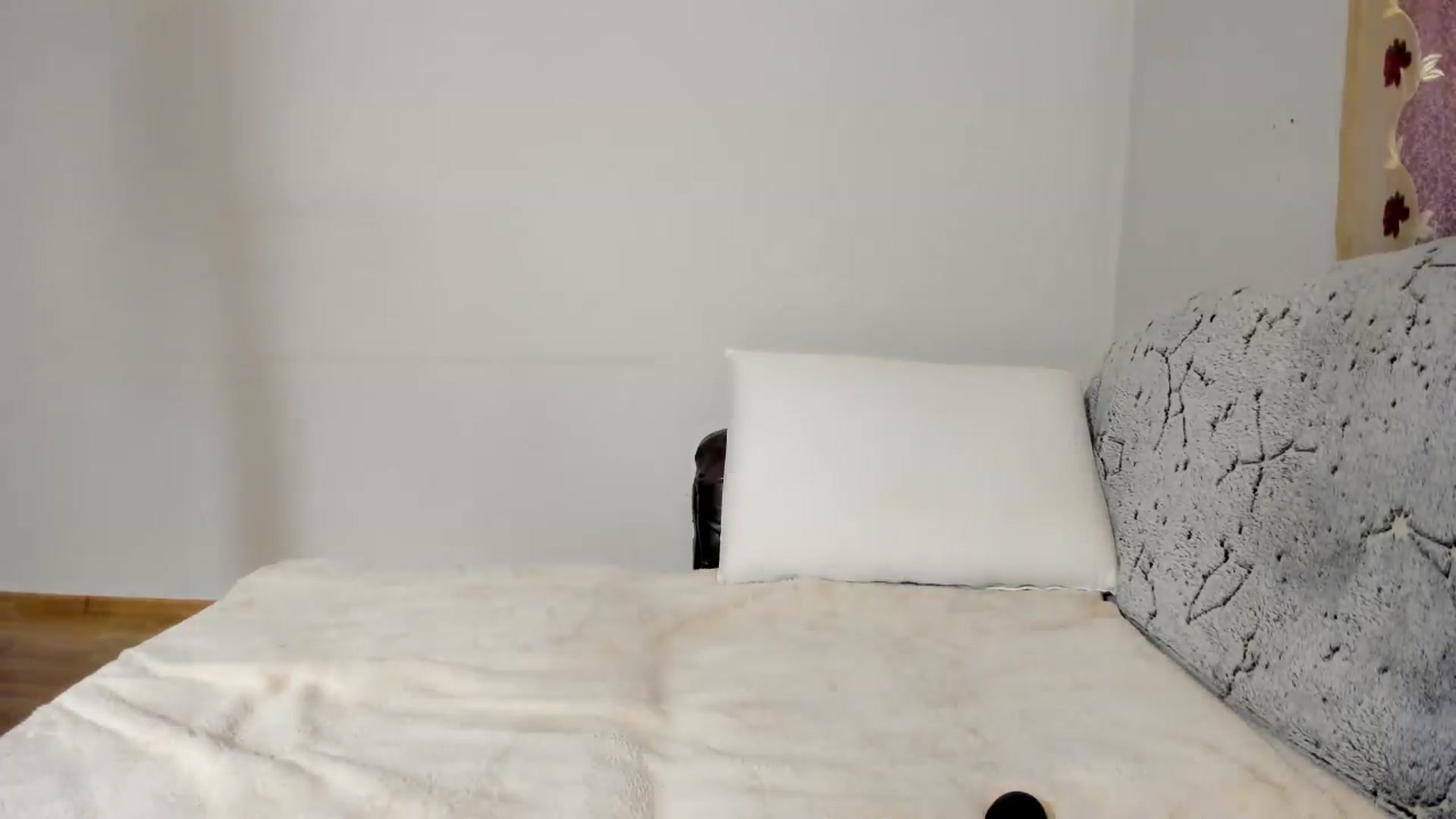 Gallery image thumbnail from Nefertitties's myfreecams stream on, 05/09/2025, 18:49 image 9 of 20
