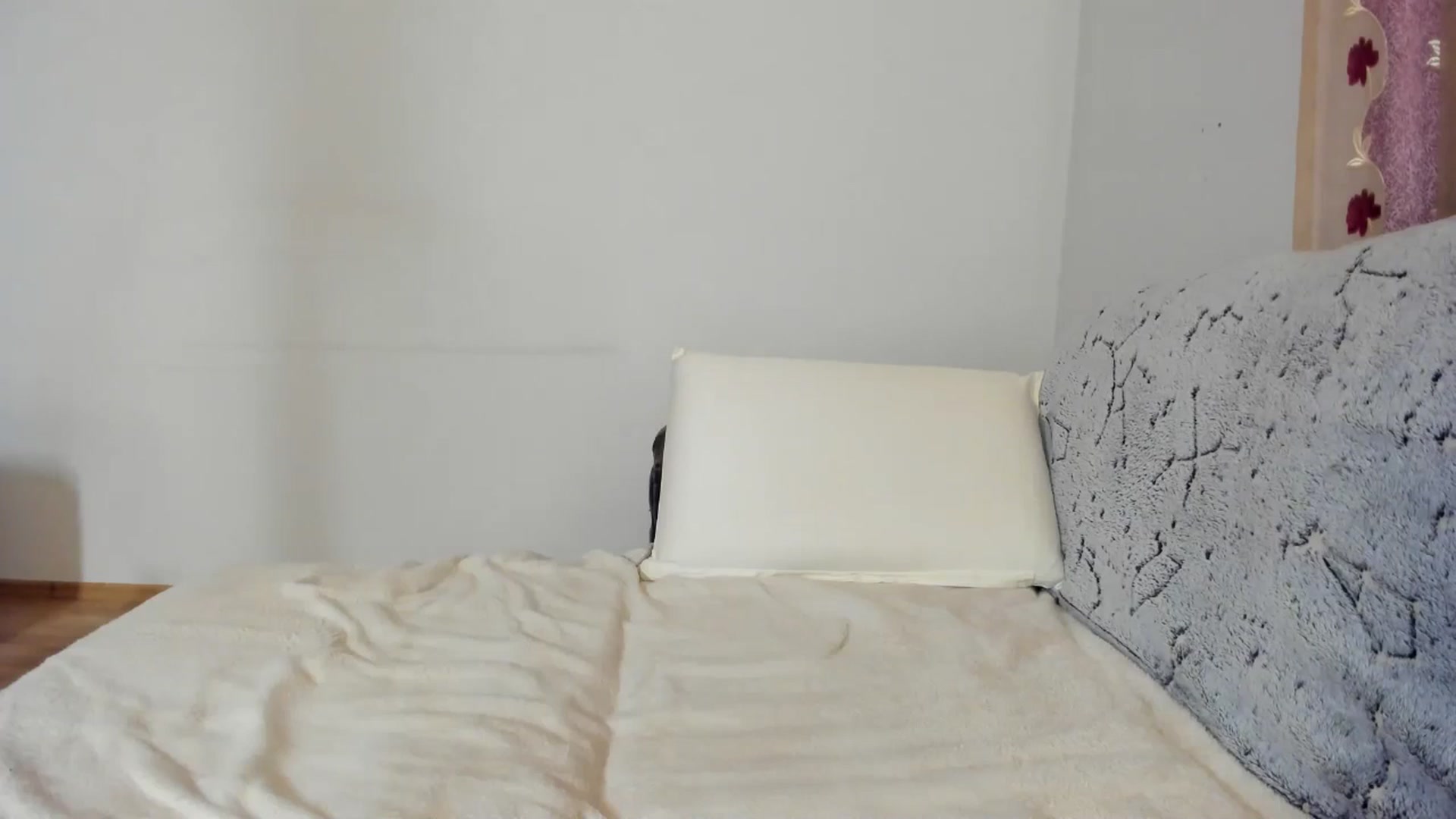 Gallery image thumbnail from Nefertitties's myfreecams stream on, 06/13/2025, 17:32 image 13 of 20