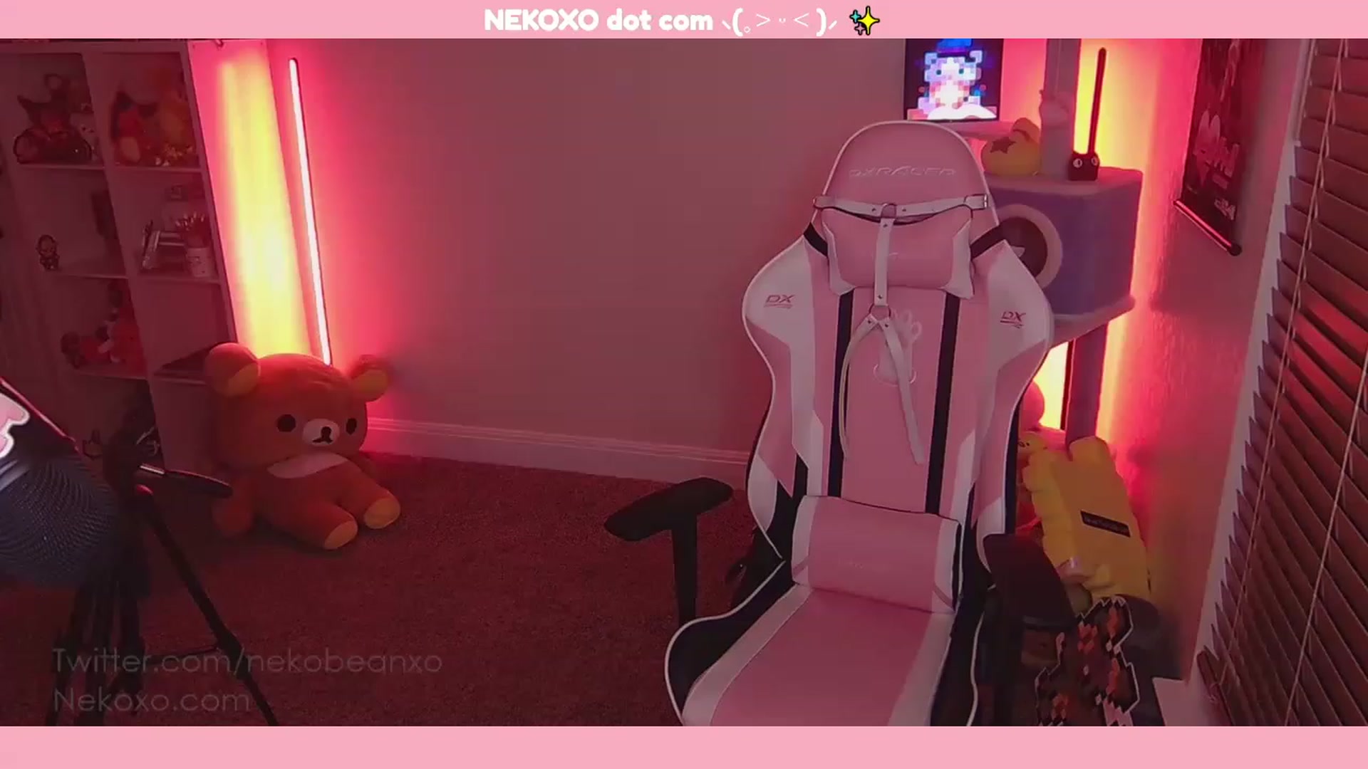 Gallery image thumbnail from Nekobeanxo's myfreecams stream on, 11/17/2022, 04:34 image 2 of 20