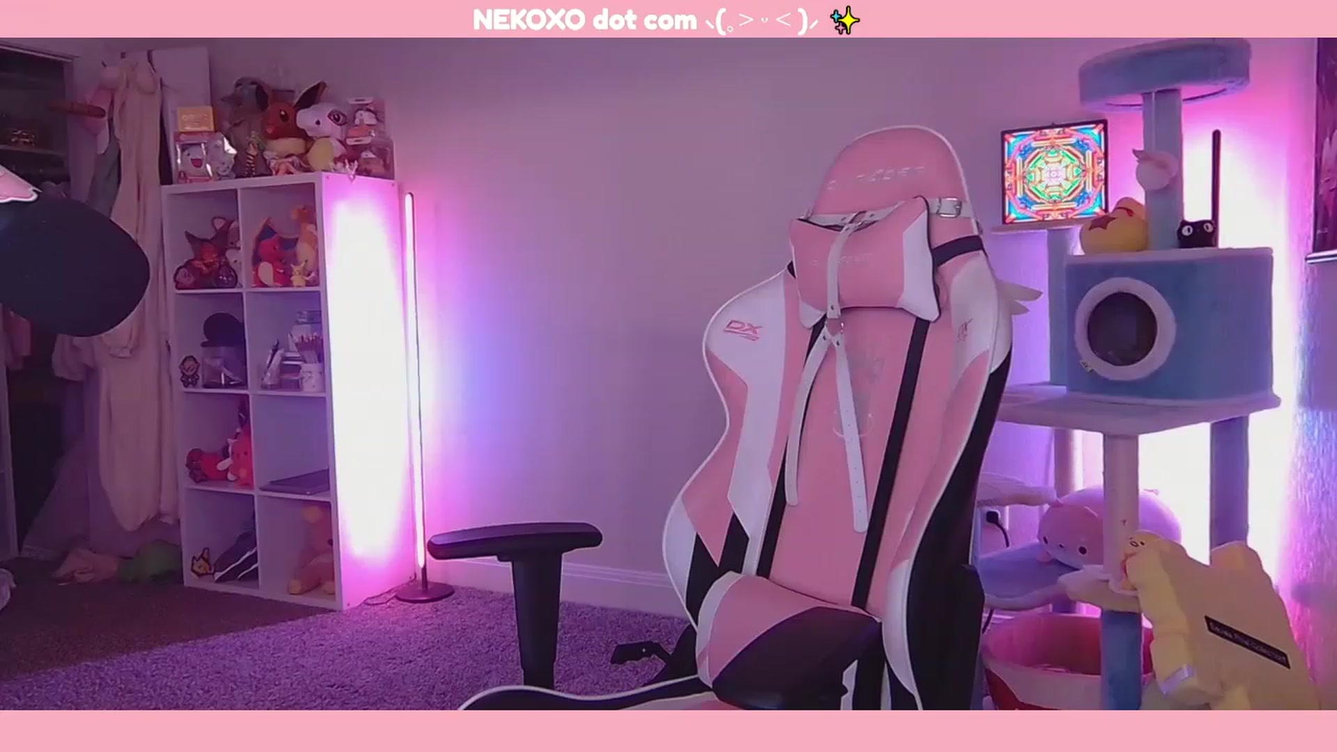 Gallery image thumbnail from Nekobeanxo's myfreecams stream on, 11/22/2022, 03:22 image 17 of 20