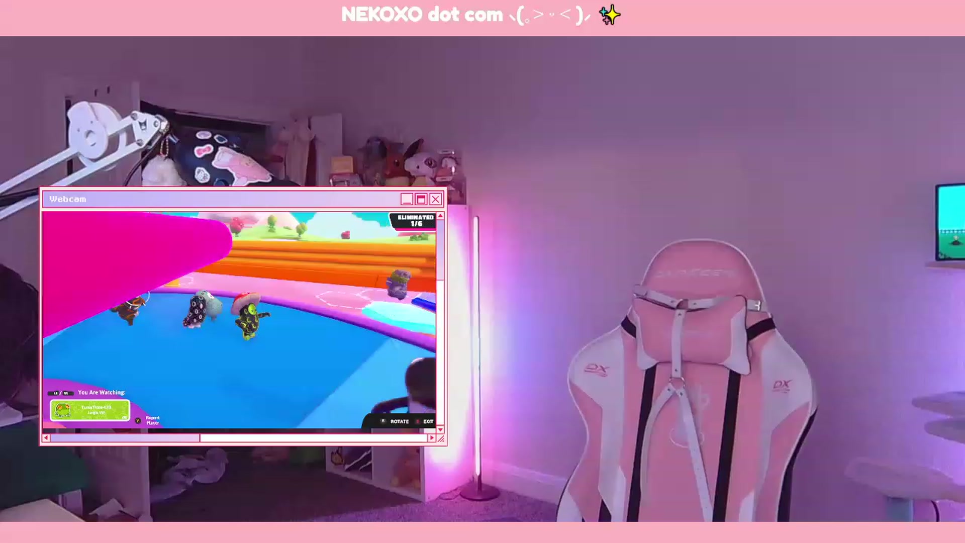 Gallery image thumbnail from Nekobeanxo's myfreecams stream on, 11/22/2022, 06:49 image 5 of 20