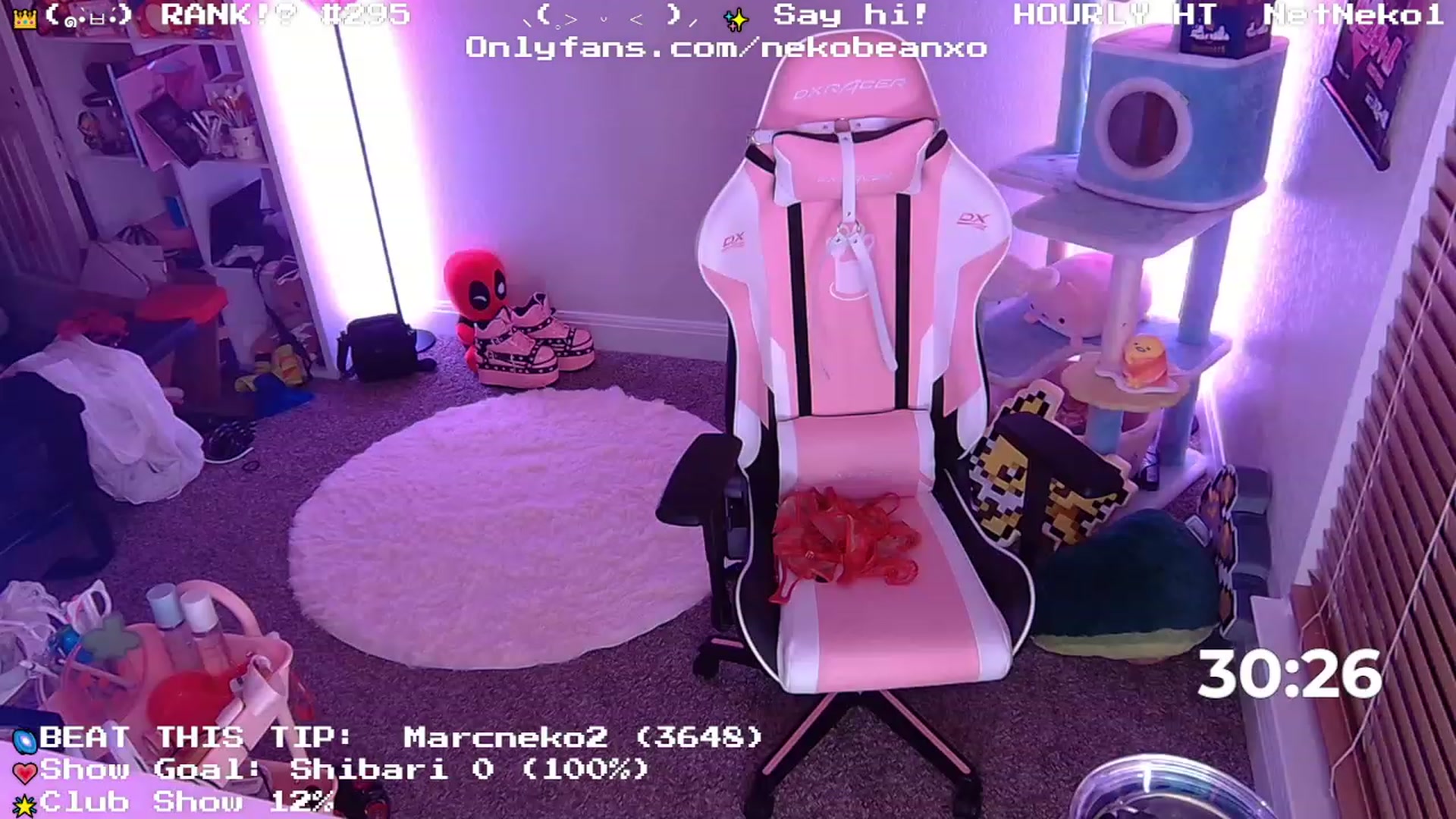 Gallery image thumbnail from Nekobeanxo's myfreecams stream on, 05/15/2023, 04:29 image 13 of 20