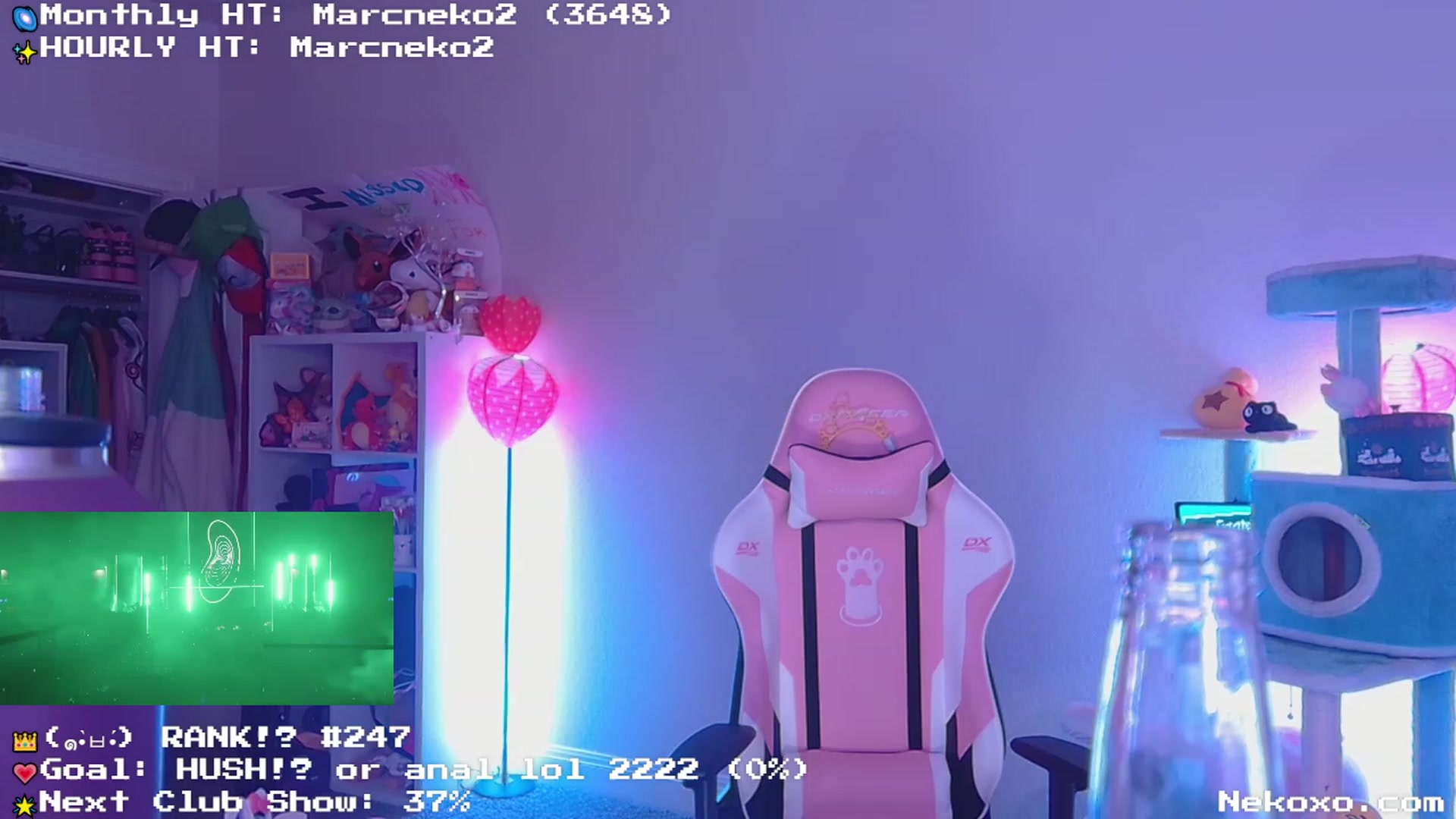Gallery image thumbnail from Nekobeanxo's myfreecams stream on, 05/29/2023, 06:59 image 12 of 20