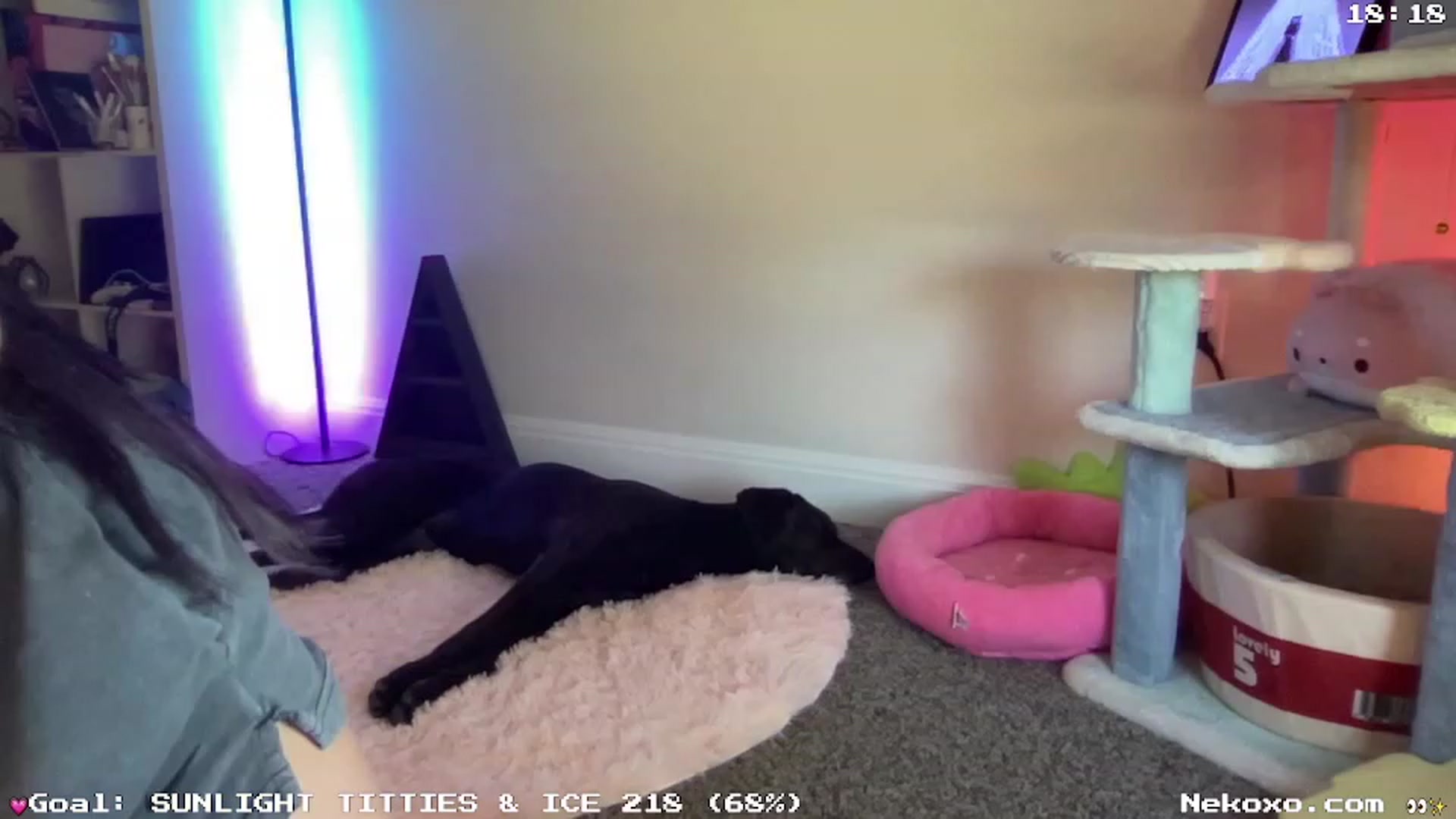 Gallery image thumbnail from Nekobeanxo's myfreecams stream on, 07/12/2023, 22:38 image 6 of 20