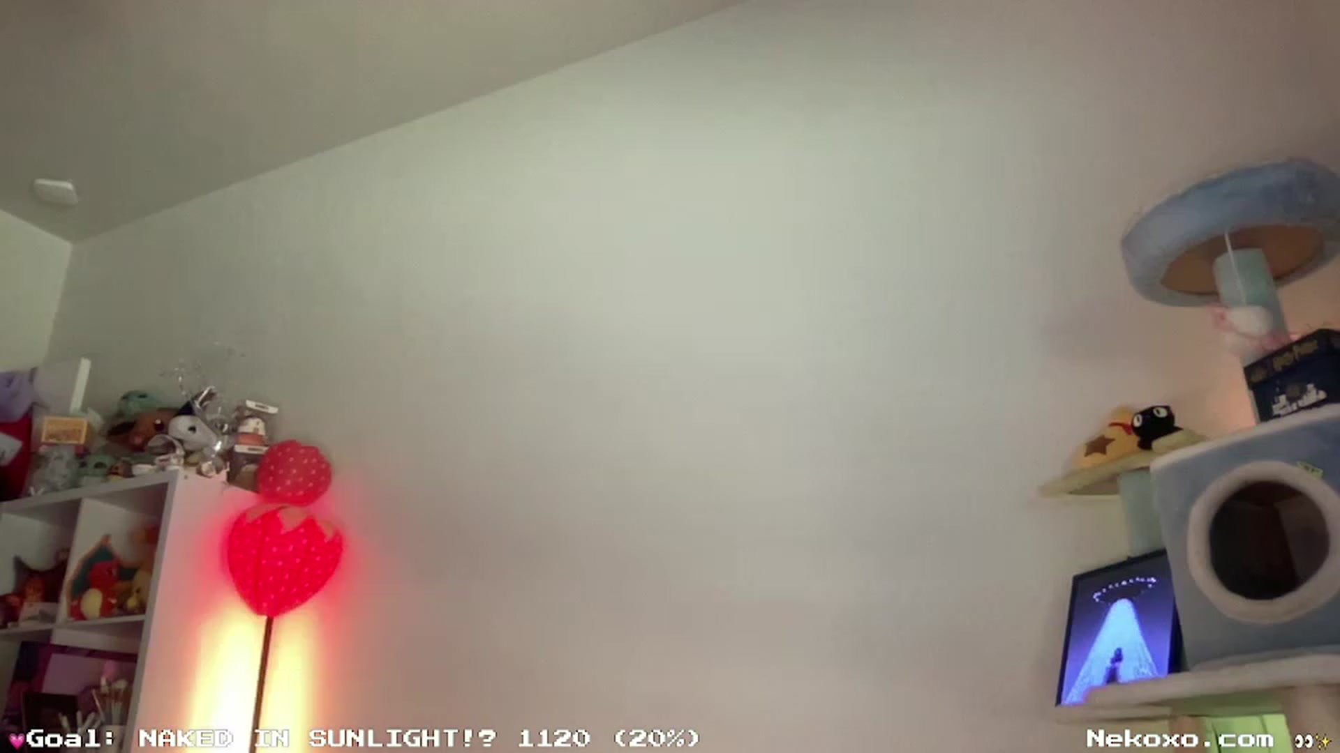 Gallery image thumbnail from Nekobeanxo's myfreecams stream on, 07/12/2023, 22:38 image 14 of 20