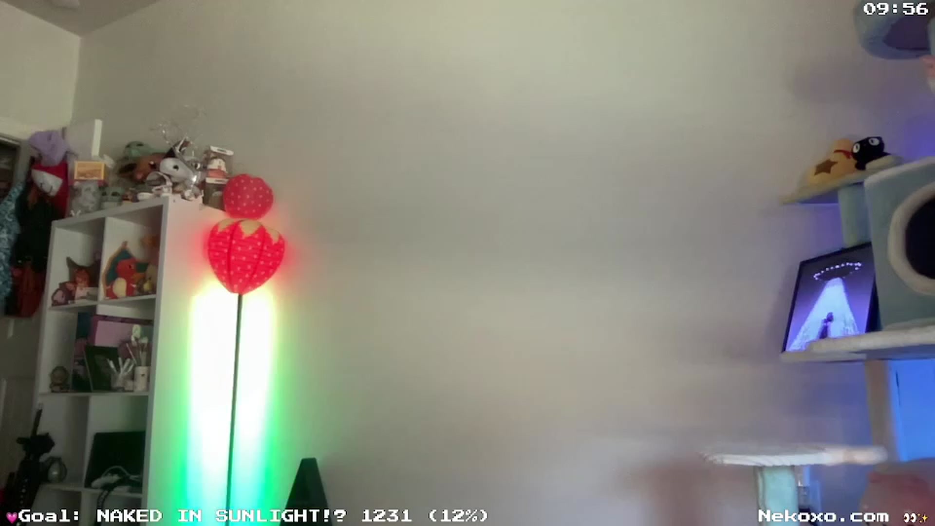 Gallery image thumbnail from Nekobeanxo's myfreecams stream on, 07/12/2023, 22:38 image 9 of 20