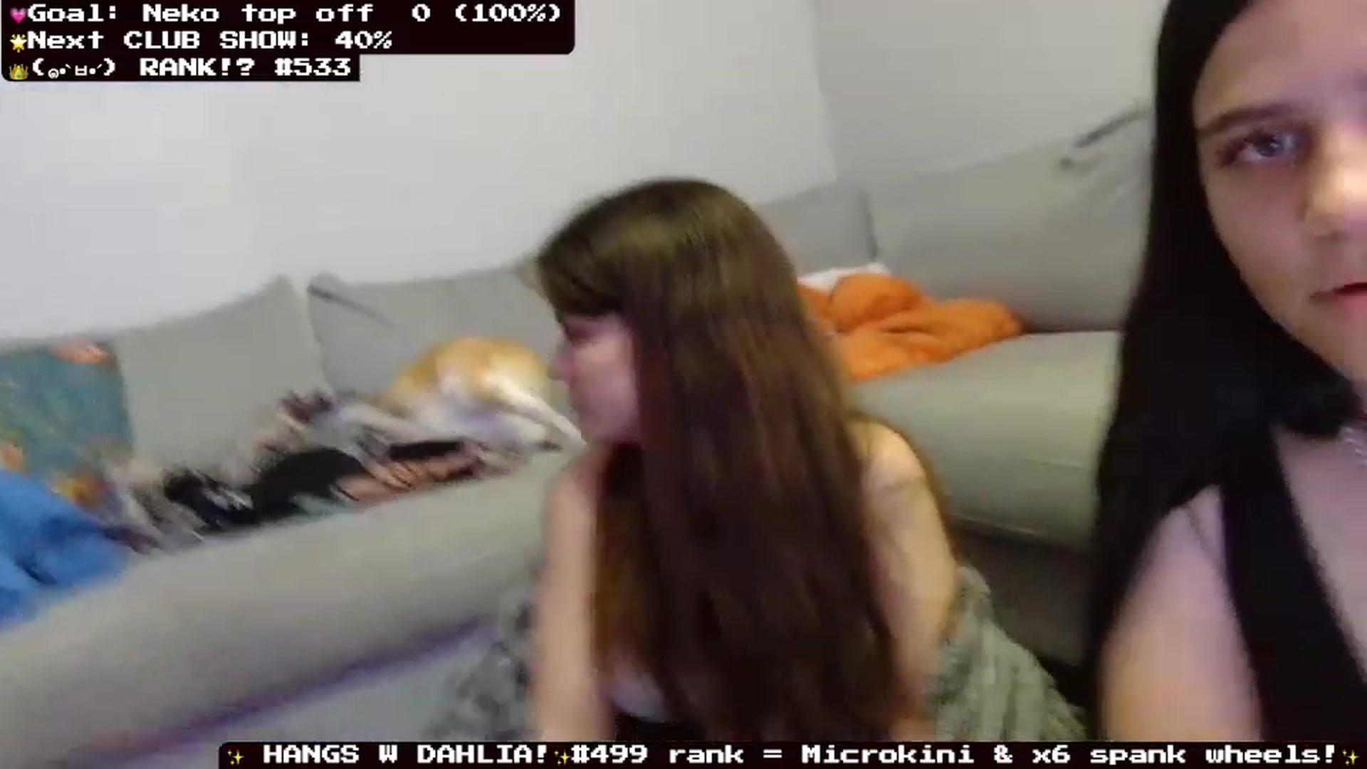 Gallery image thumbnail from Nekobeanxo's myfreecams stream on, 07/31/2023, 03:21 image 11 of 20