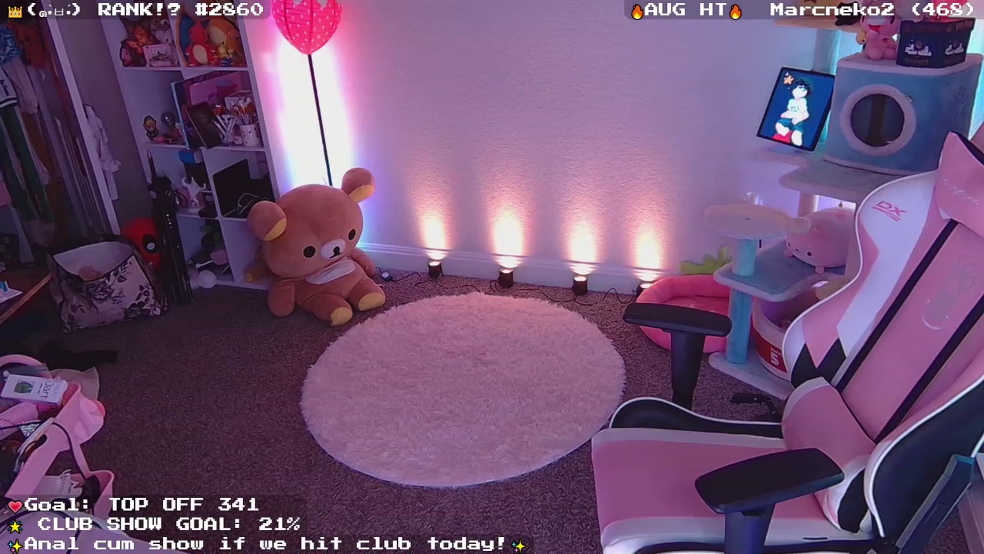 Gallery image thumbnail from Nekobeanxo's myfreecams stream on, 08/09/2023, 04:41 image 2 of 20