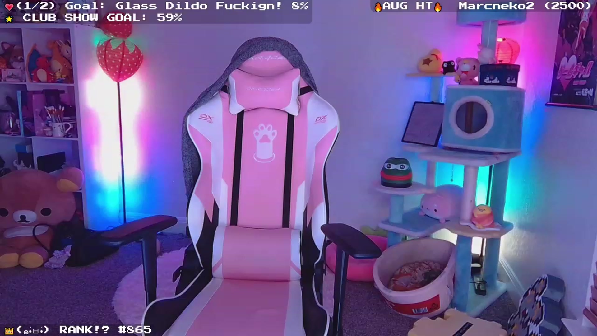 Gallery image thumbnail from Nekobeanxo's myfreecams stream on, 08/25/2023, 03:14 image 3 of 20