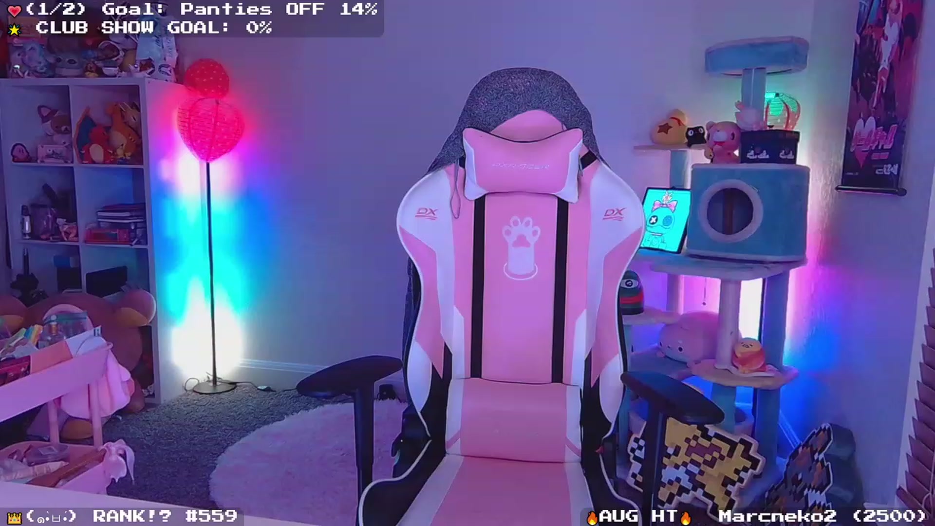 Gallery image thumbnail from Nekobeanxo's myfreecams stream on, 08/29/2023, 03:30 image 7 of 20