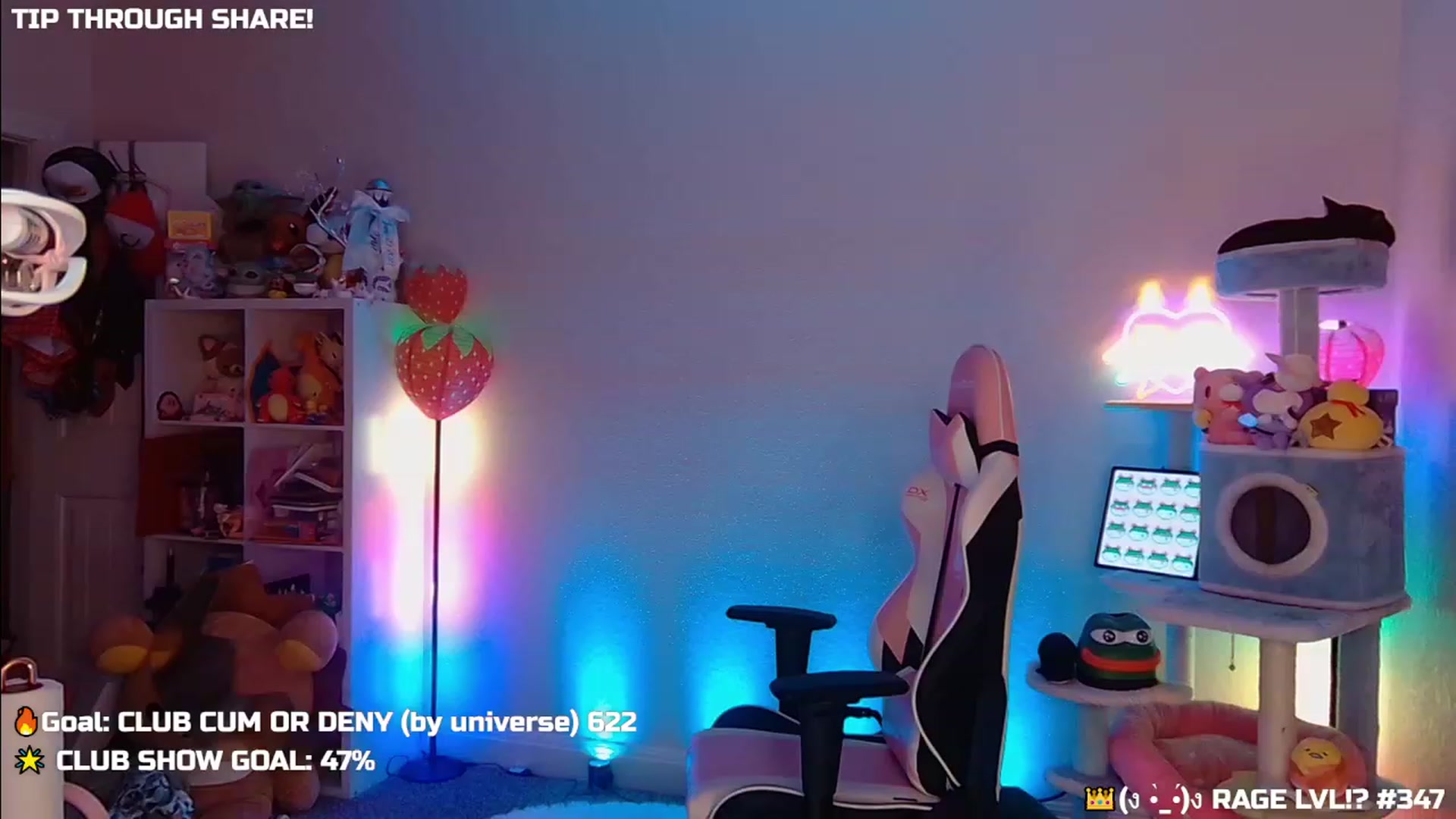 Gallery image thumbnail from Nekobeanxo's myfreecams stream on, 11/09/2023, 07:30 image 19 of 20