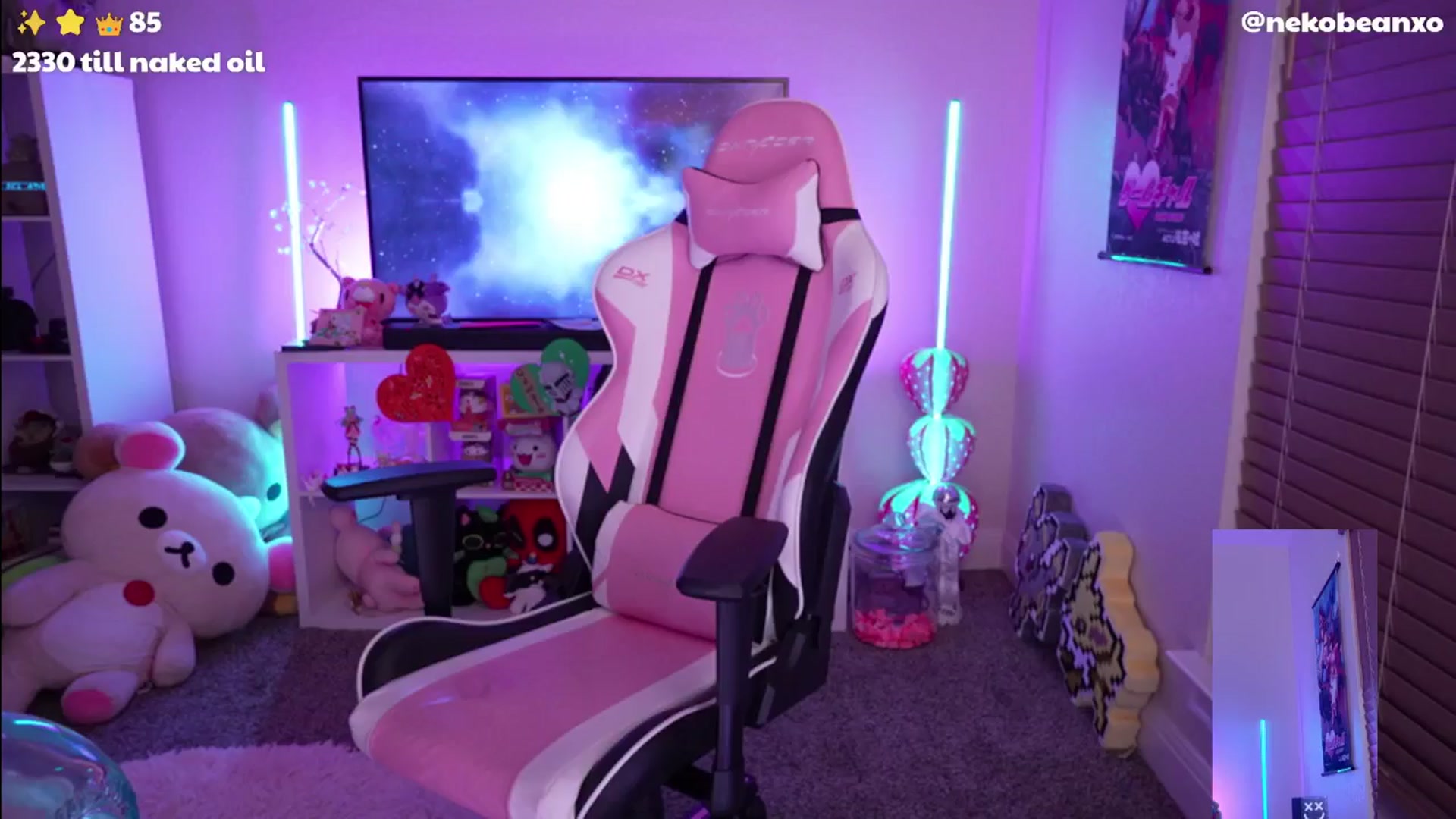 Gallery image thumbnail from Nekobeanxo's myfreecams stream on, 05/11/2024, 08:59 image 15 of 20