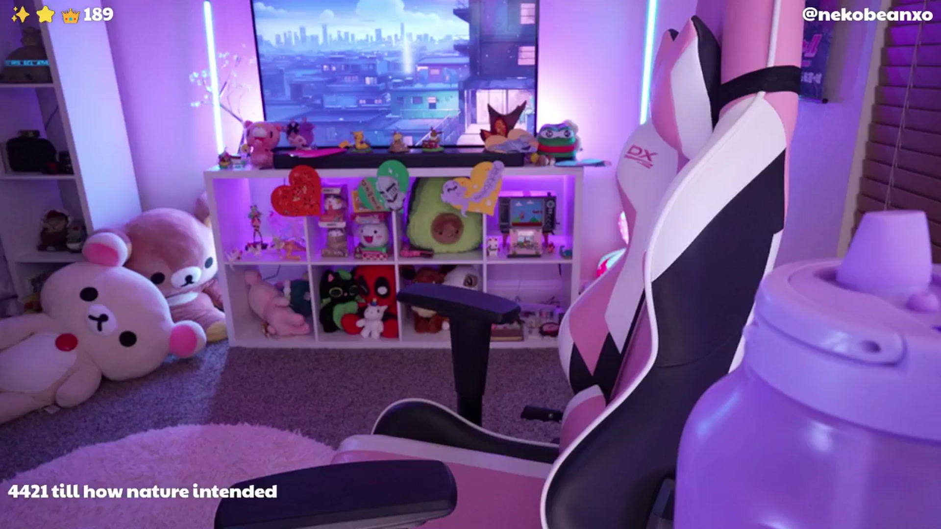 Gallery image thumbnail from Nekobeanxo's myfreecams stream on, 06/01/2024, 07:43 image 16 of 20