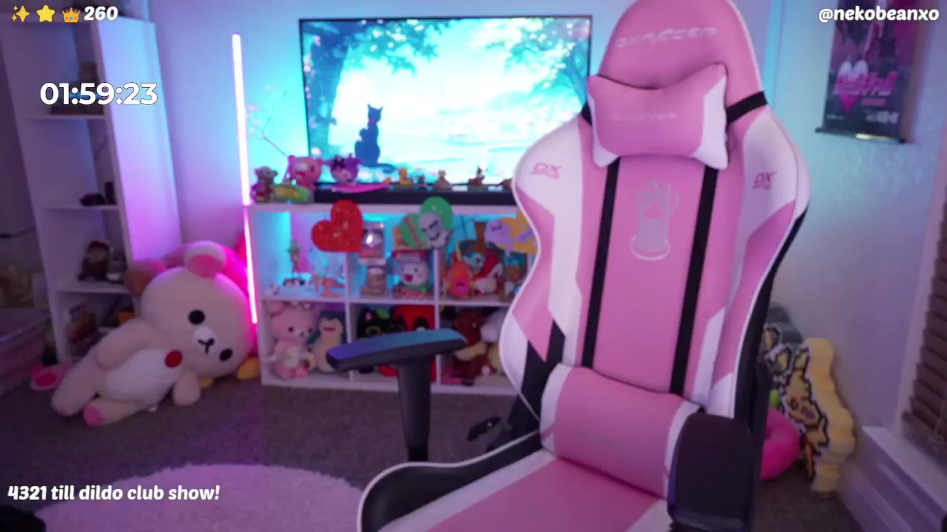 Gallery image thumbnail from Nekobeanxo's myfreecams stream on, 06/24/2024, 08:52 image 17 of 20