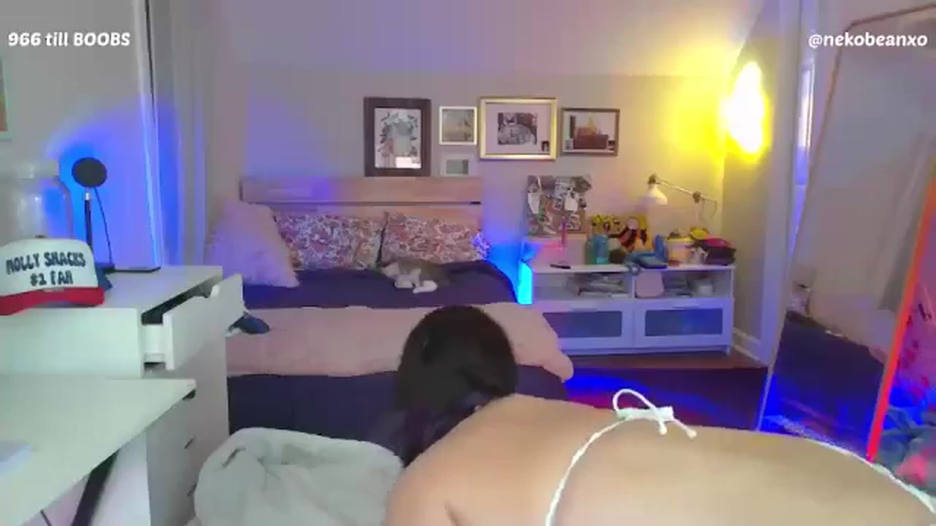 Gallery image thumbnail from Nekobeanxo's myfreecams stream on, 07/13/2024, 05:02 image 14 of 20