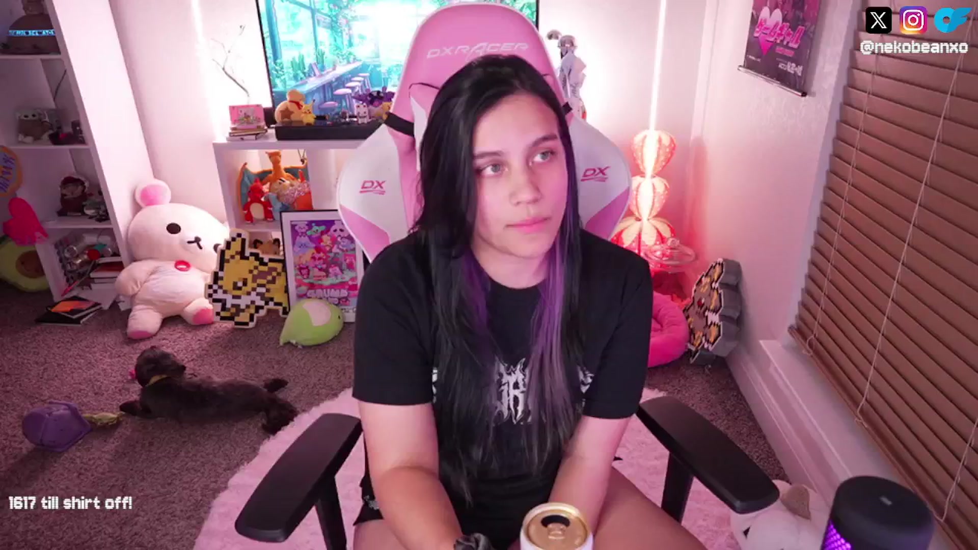 Gallery image thumbnail from Nekobeanxo's myfreecams stream on, 08/28/2024, 04:41 image 6 of 20