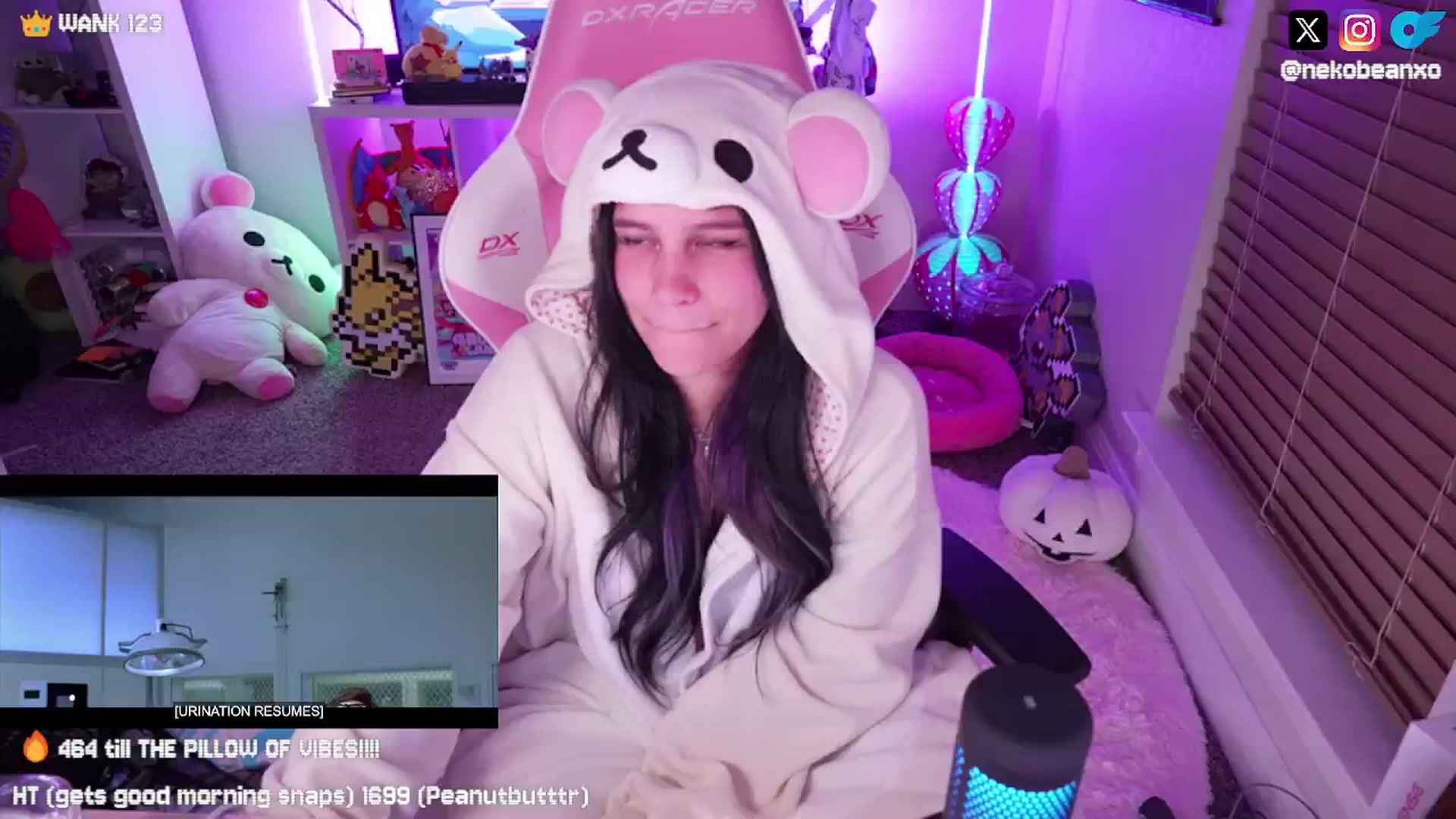 Gallery image thumbnail from Nekobeanxo's myfreecams stream on, 09/08/2024, 09:23 image 9 of 20