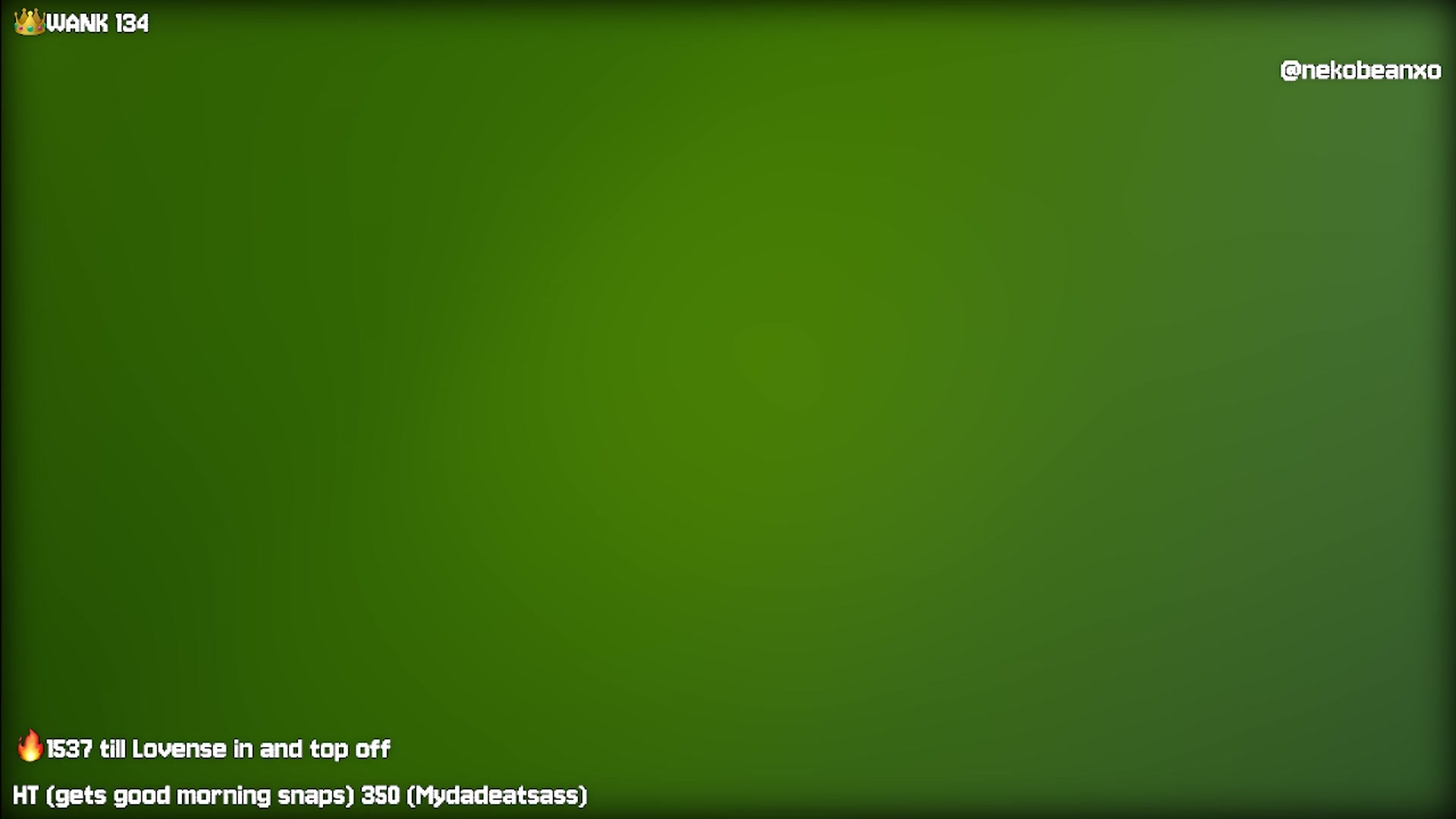 Gallery image thumbnail from Nekobeanxo's myfreecams stream on, 09/09/2024, 24:26 image 15 of 20