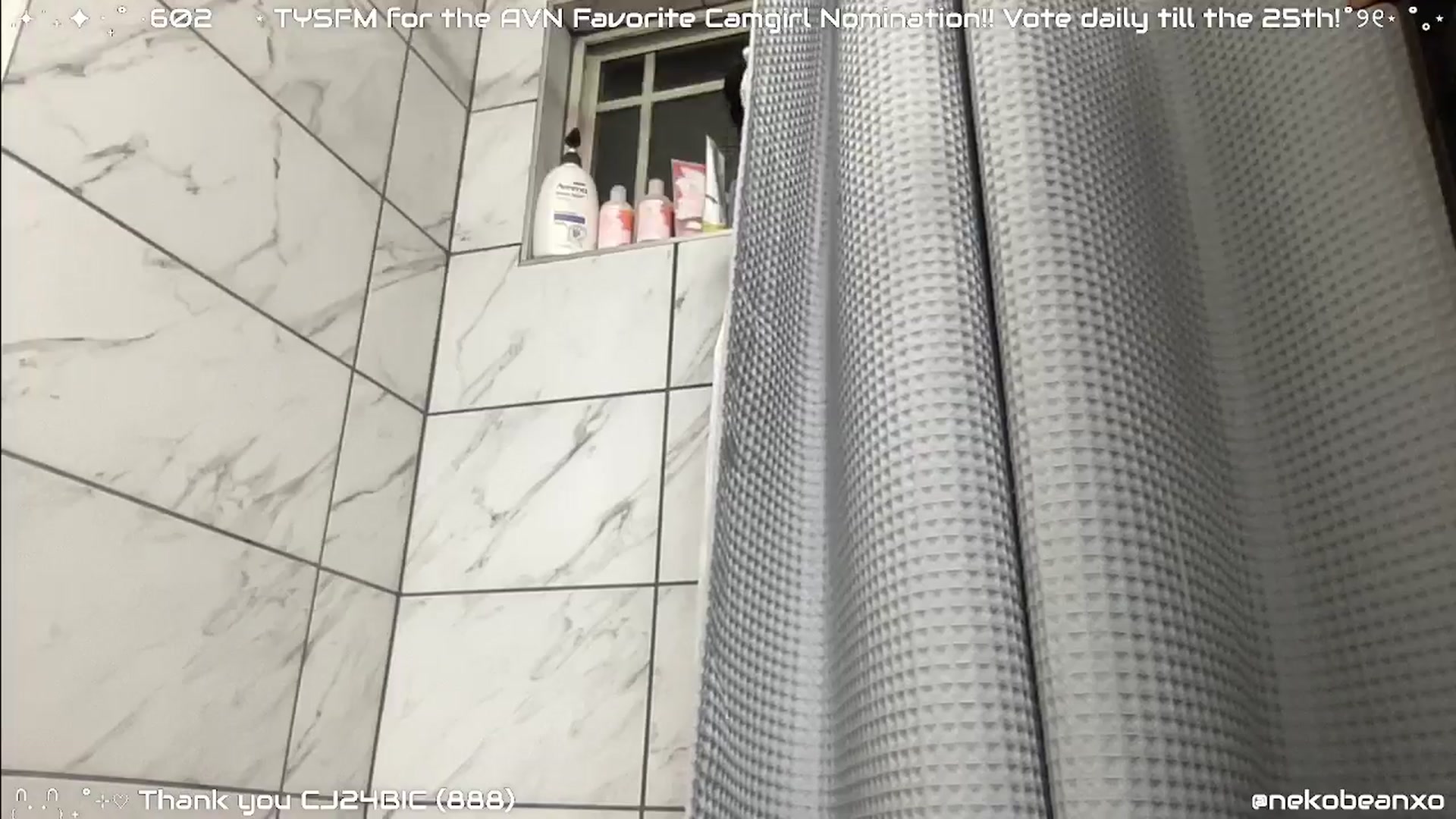 Gallery image thumbnail from Nekobeanxo's myfreecams stream on, 01/01/2025, 07:30 image 18 of 20
