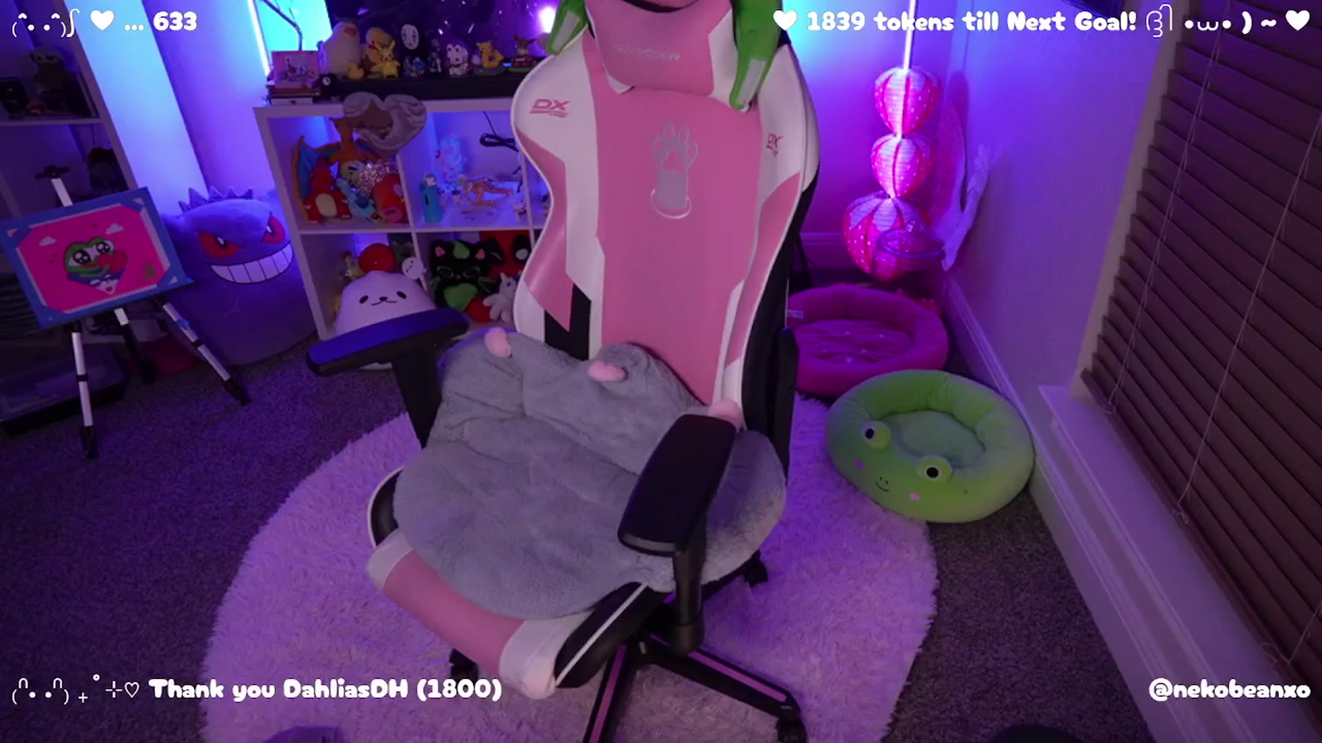 Gallery image thumbnail from Nekobeanxo's myfreecams stream on, 03/28/2025, 05:06 image 13 of 20