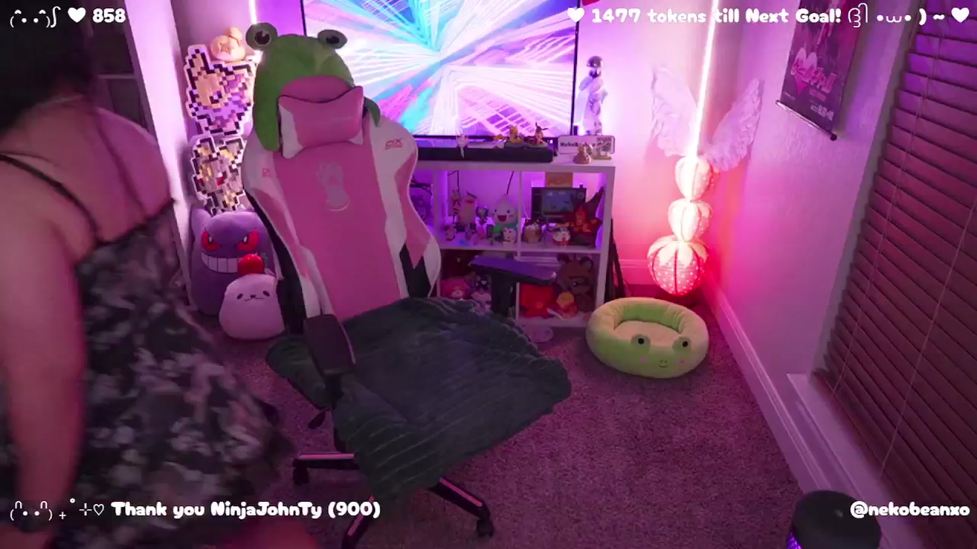 Gallery image thumbnail from Nekobeanxo's myfreecams stream on, 04/30/2025, 06:07 image 13 of 20