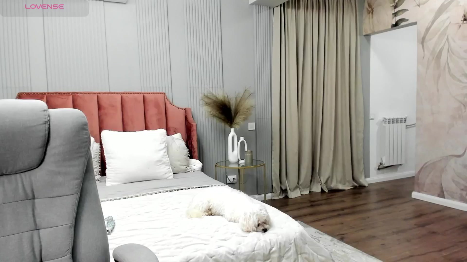 Gallery image thumbnail from NellieCutest's myfreecams stream on, 07/18/2025, 22:37 image 13 of 20