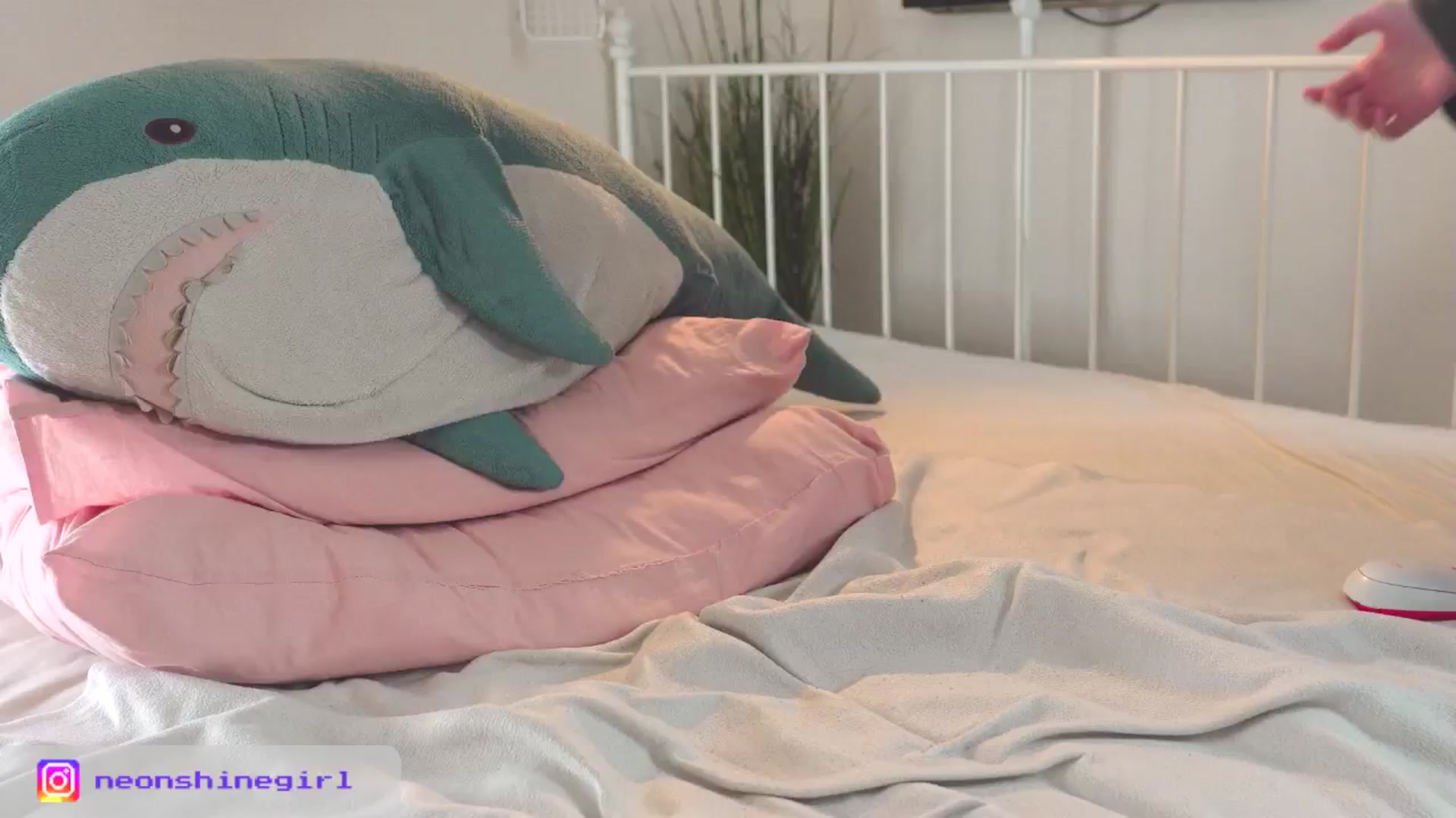 Gallery image thumbnail from NeonShine's myfreecams stream on, 10/23/2025, 13:19 image 9 of 20