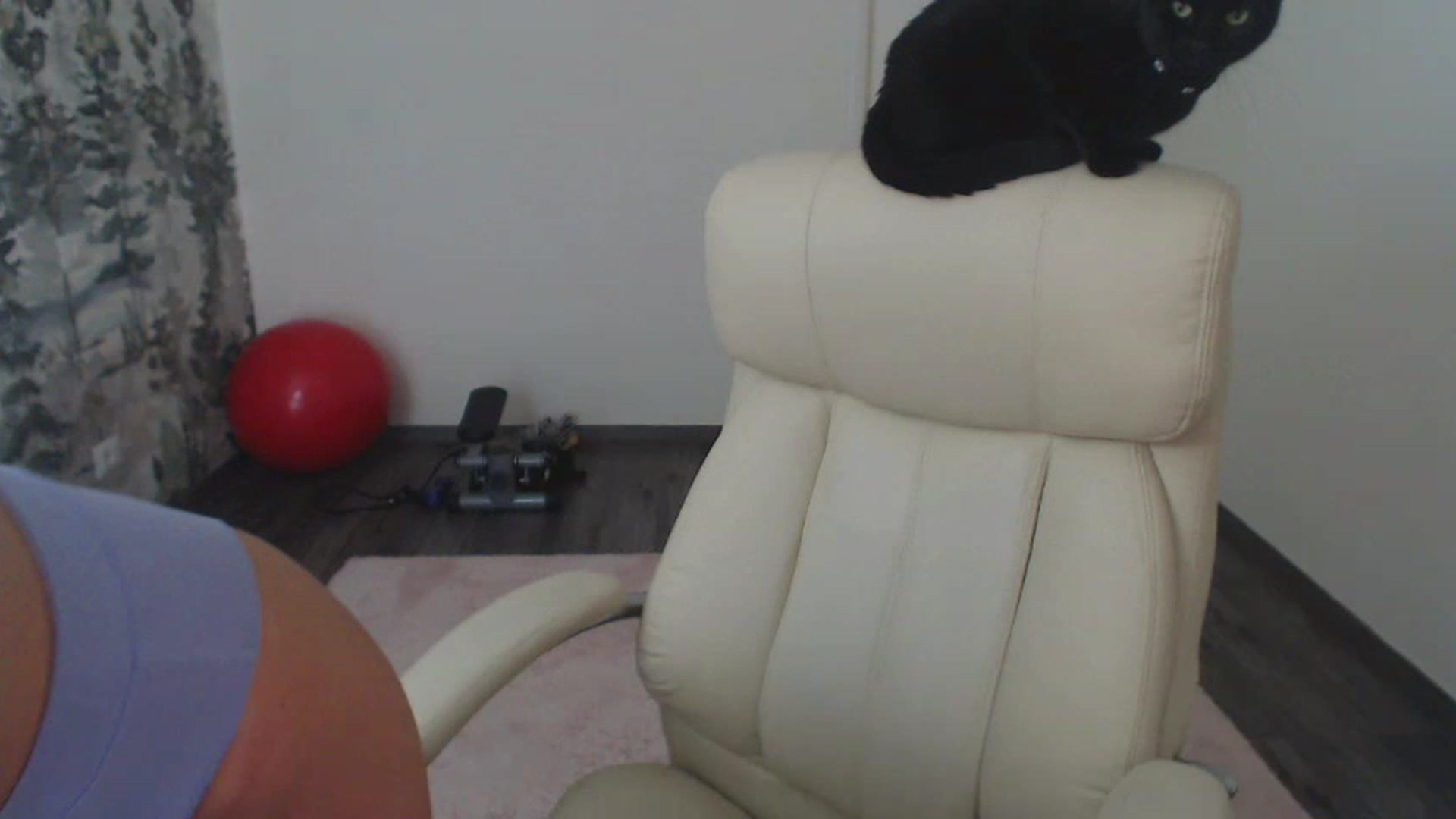 Gallery image thumbnail from NerdyDexter's myfreecams stream on, 07/11/2023, 17:01 image 20 of 20