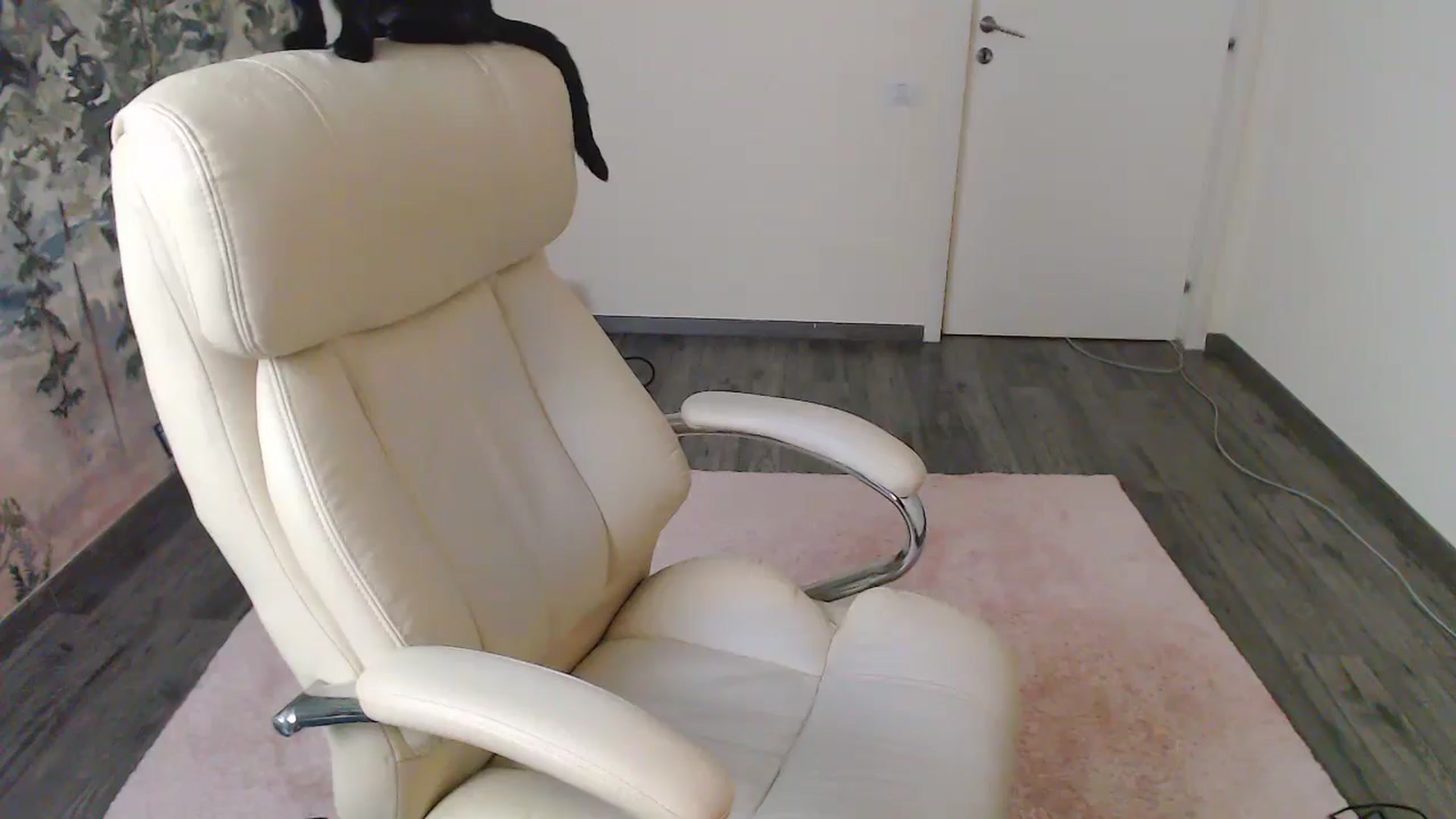 Gallery image thumbnail from NerdyDexter's myfreecams stream on, 09/09/2024, 18:55 image 19 of 20