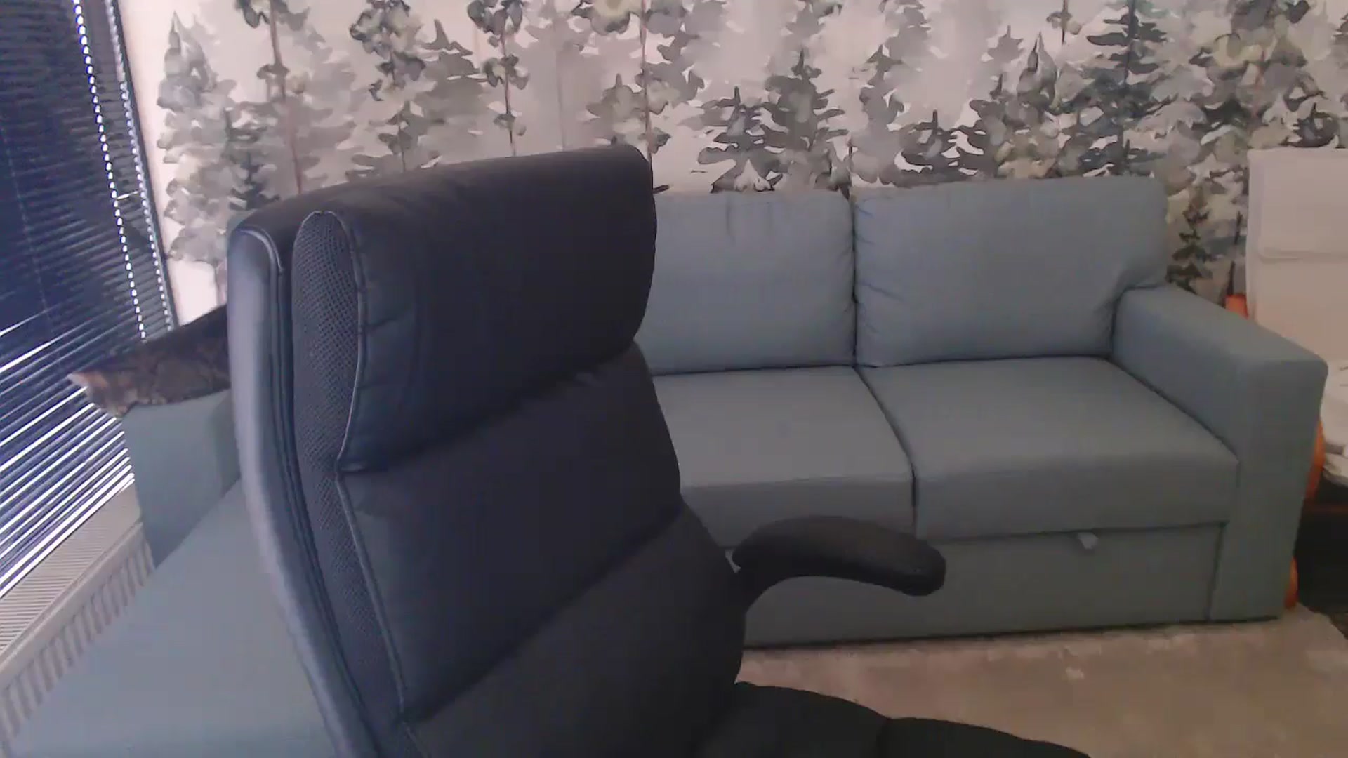 Gallery image thumbnail from NerdyDexter's myfreecams stream on, 12/30/2024, 10:42 image 17 of 20