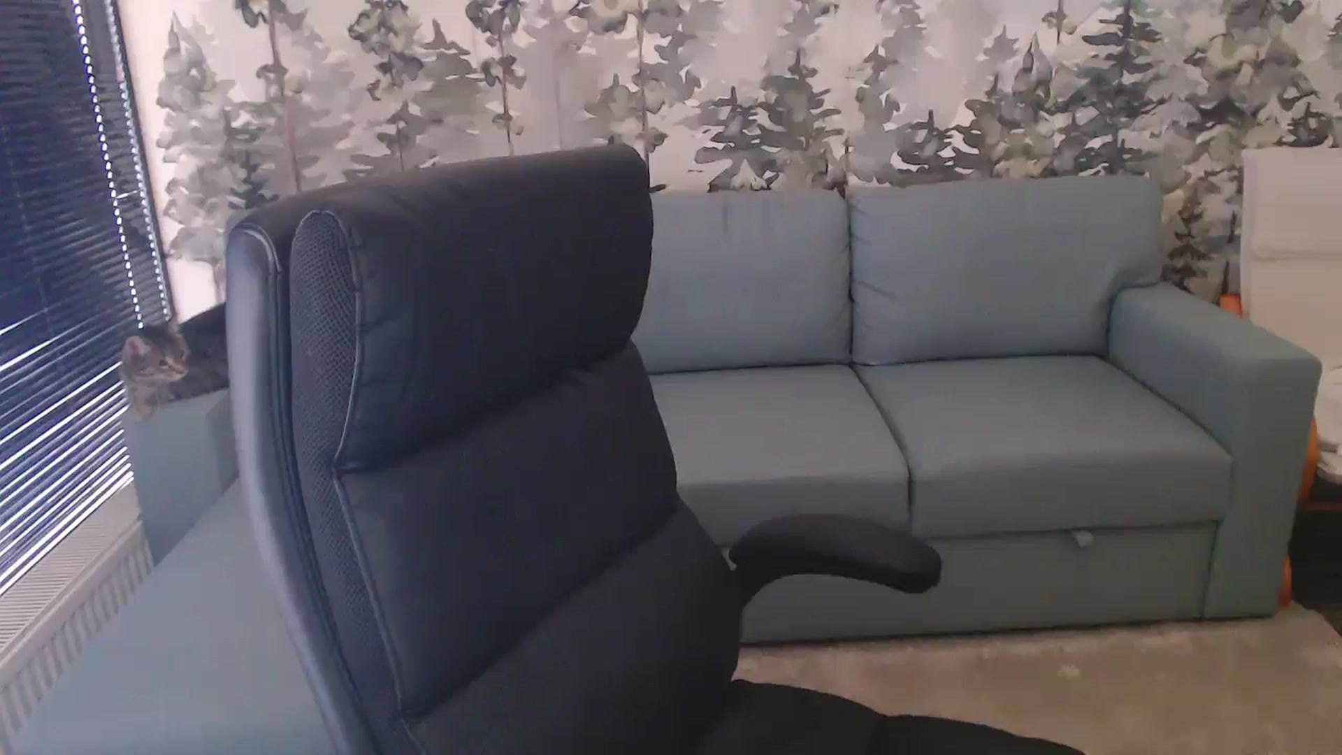 Gallery image thumbnail from NerdyDexter's myfreecams stream on, 12/30/2024, 10:42 image 16 of 20