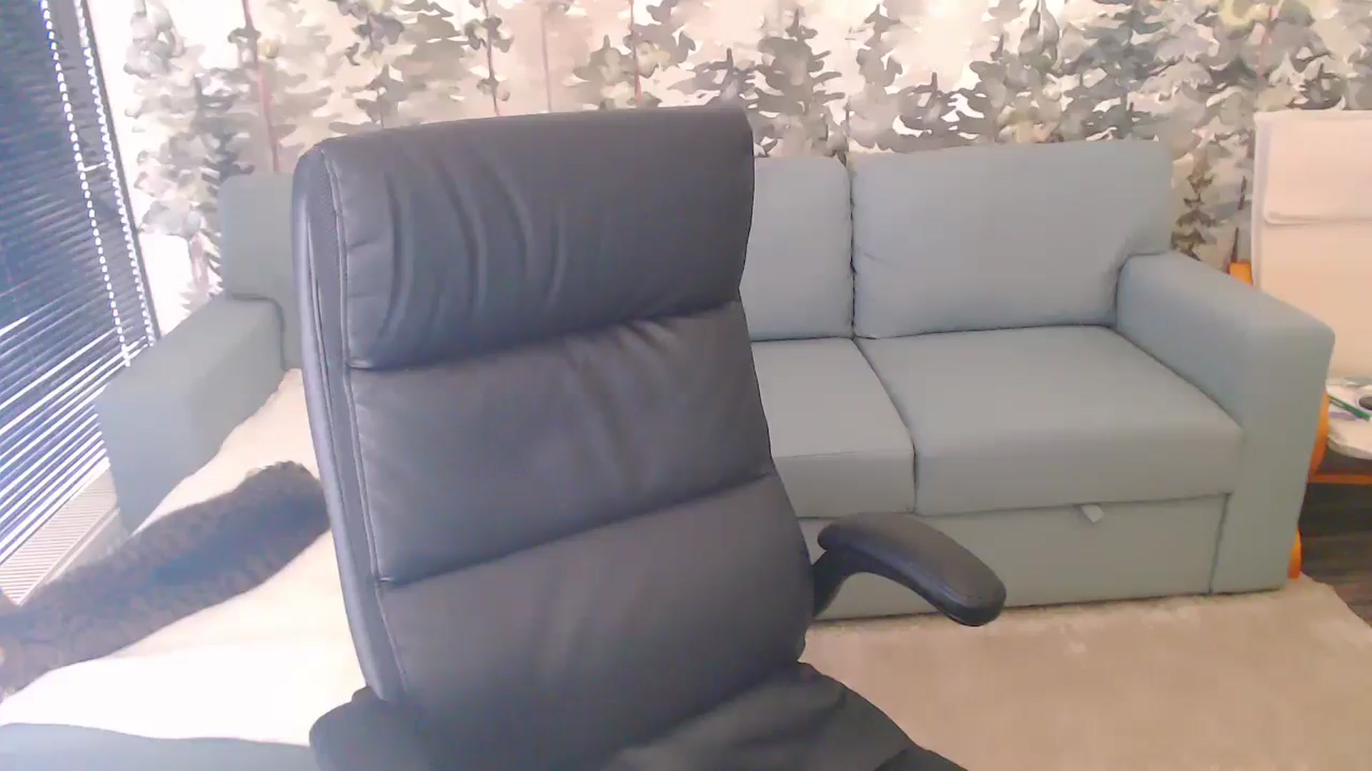 Gallery image thumbnail from NerdyDexter's myfreecams stream on, 12/30/2024, 13:00 image 4 of 20